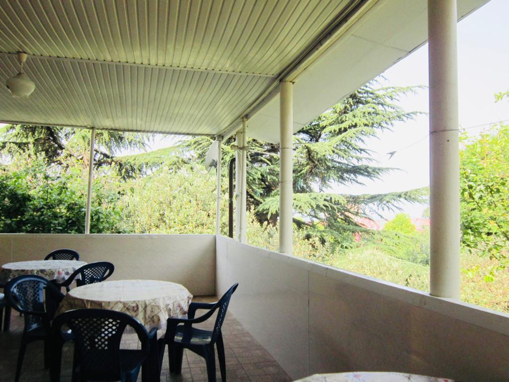 Фото Виолетта