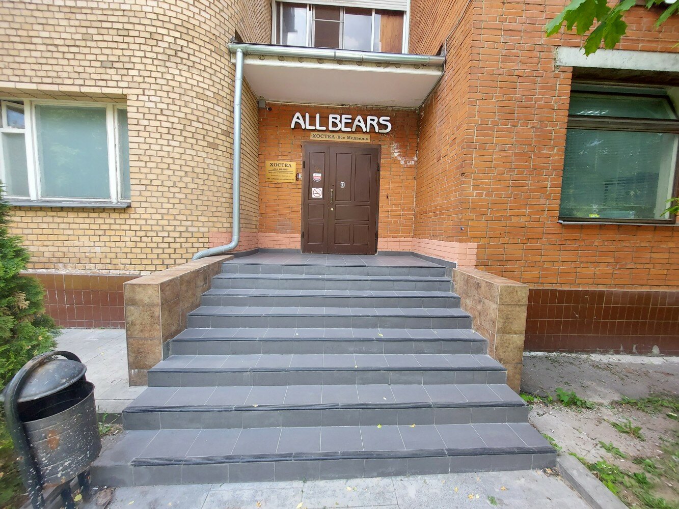 Фото Все медведи