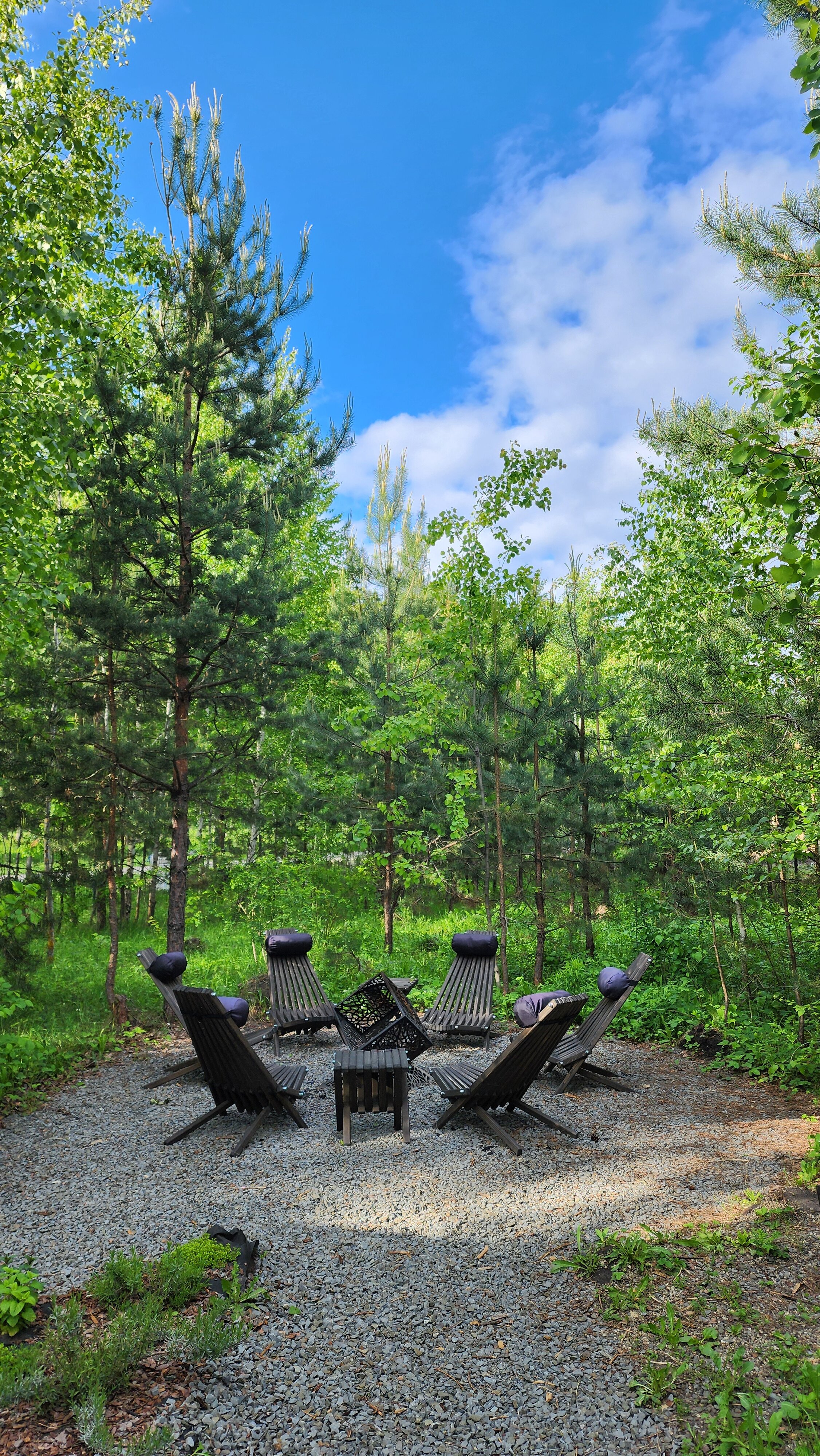 Фото Дом в заповеднике