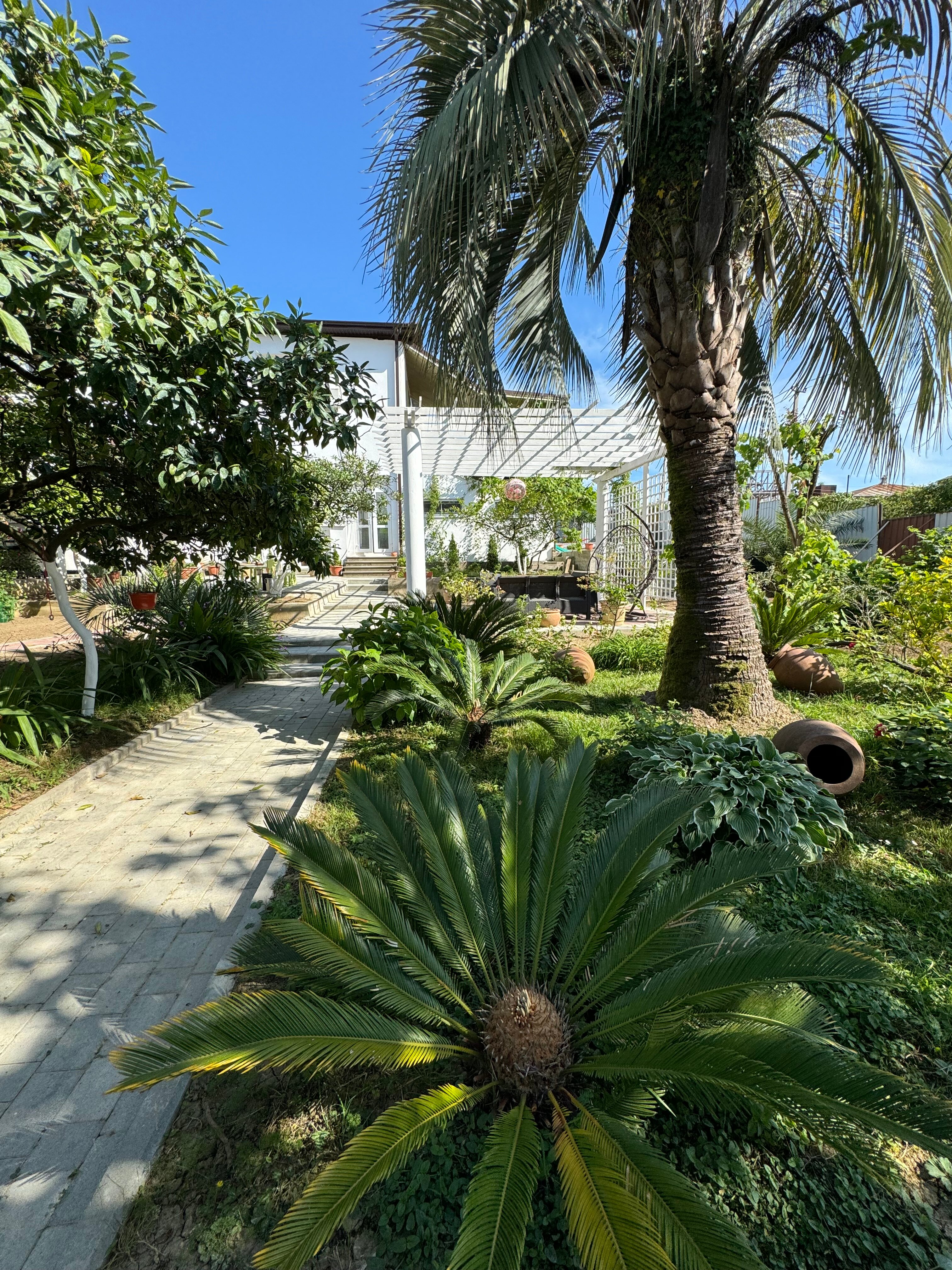 Фото Лермонтов