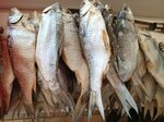 Астраханская вобла (posyolok Tulskiy, Pervomayskaya ulitsa, 434), fish and seafood