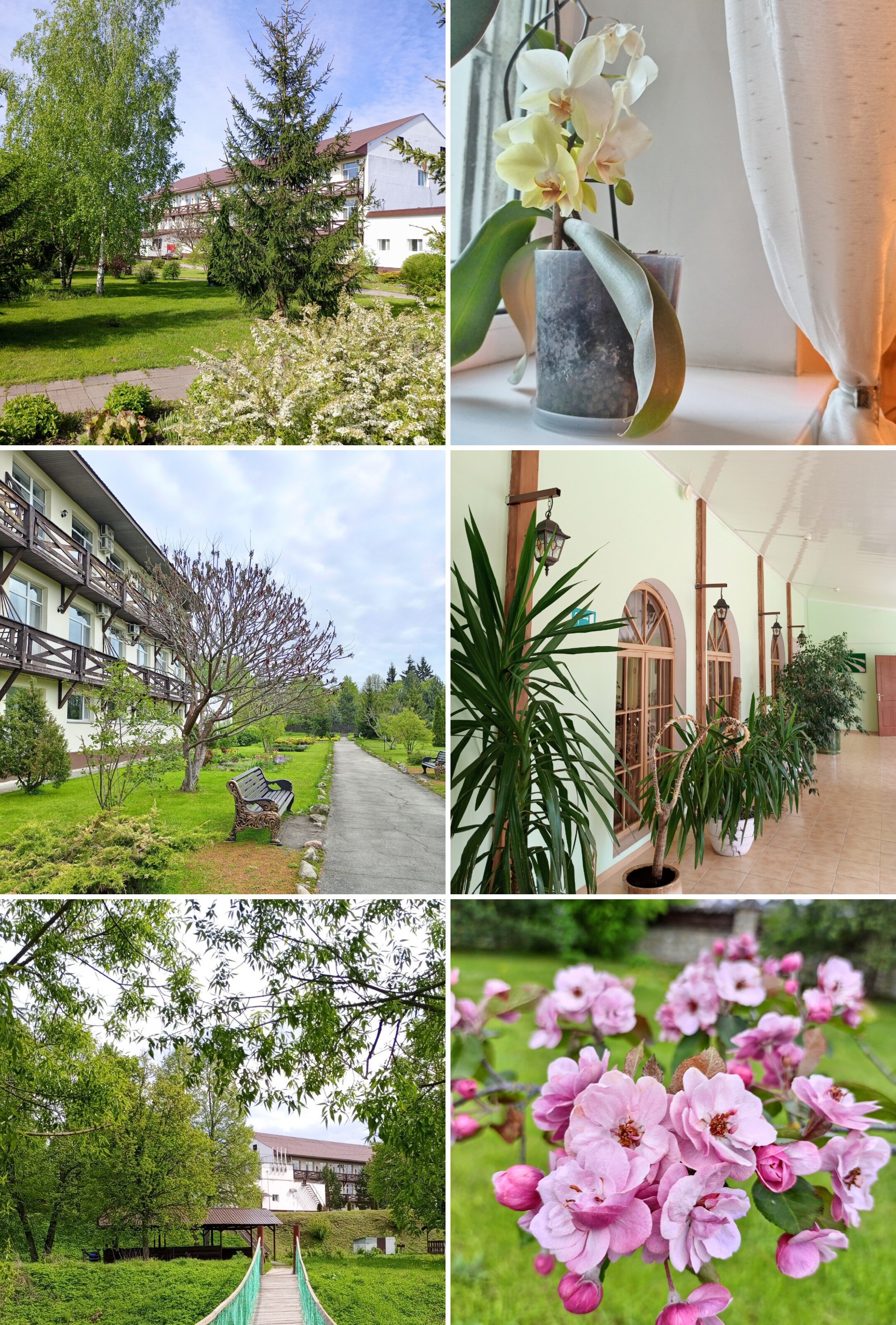 Фото Лихвинские воды