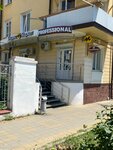 Professional (Комсомольская ул., 111, Армавир), оборудование и материалы для салонов красоты в Армавире