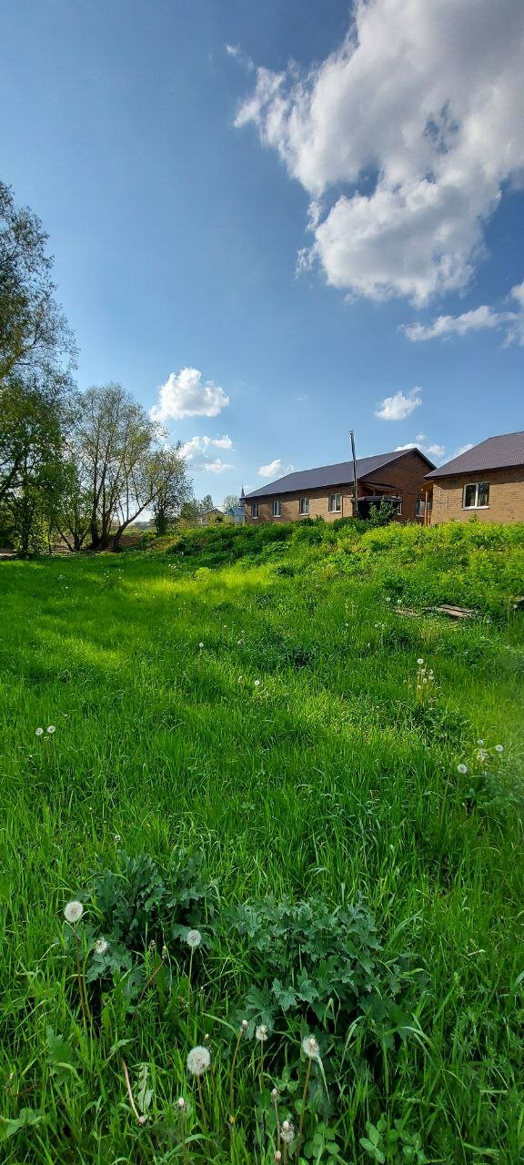 Фото Ёлки-Палки