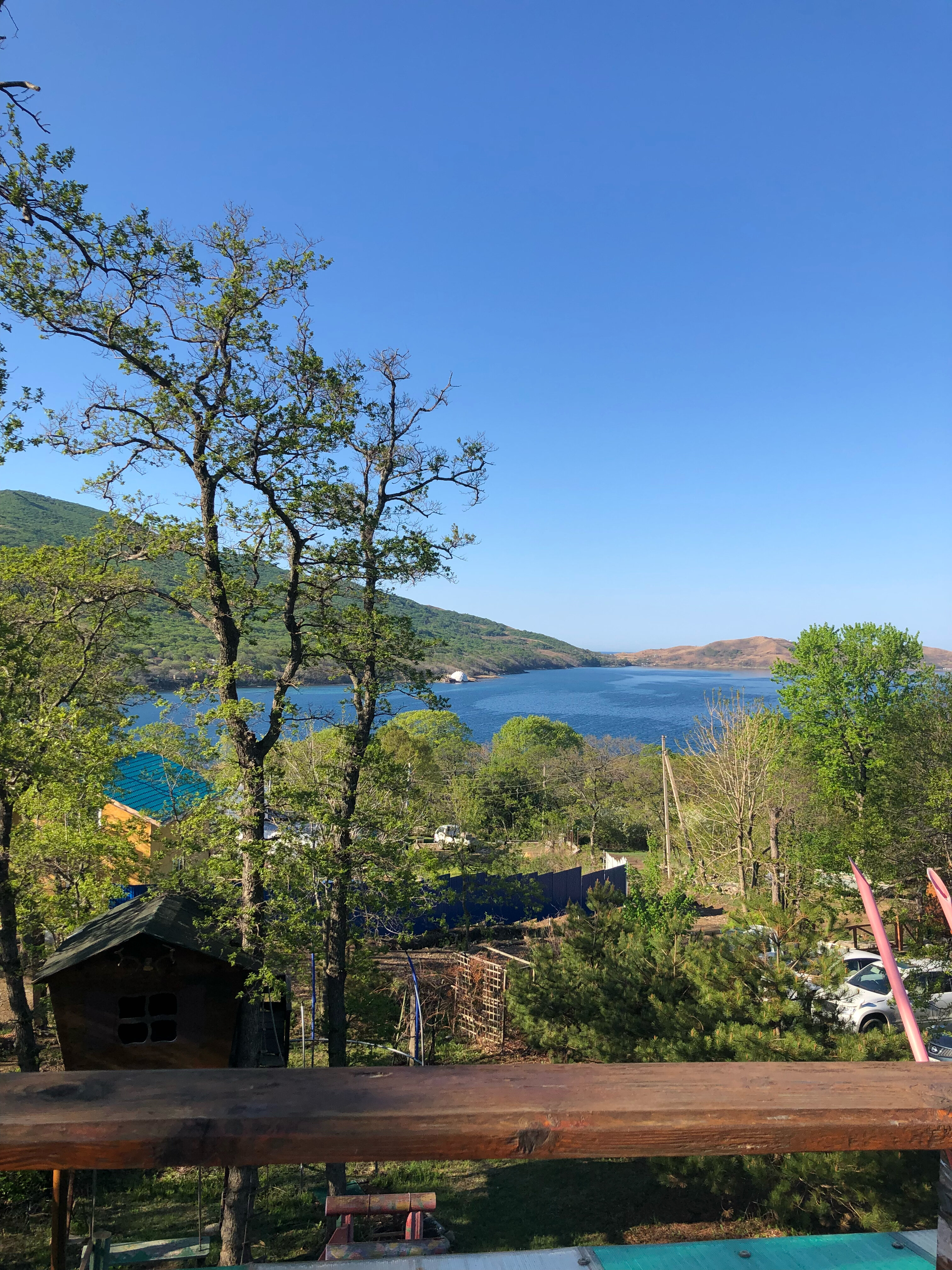 Фото Ольховая