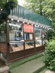 Fast Food Kiosk (Abdullah Rozybakiev Street, 77), fast food