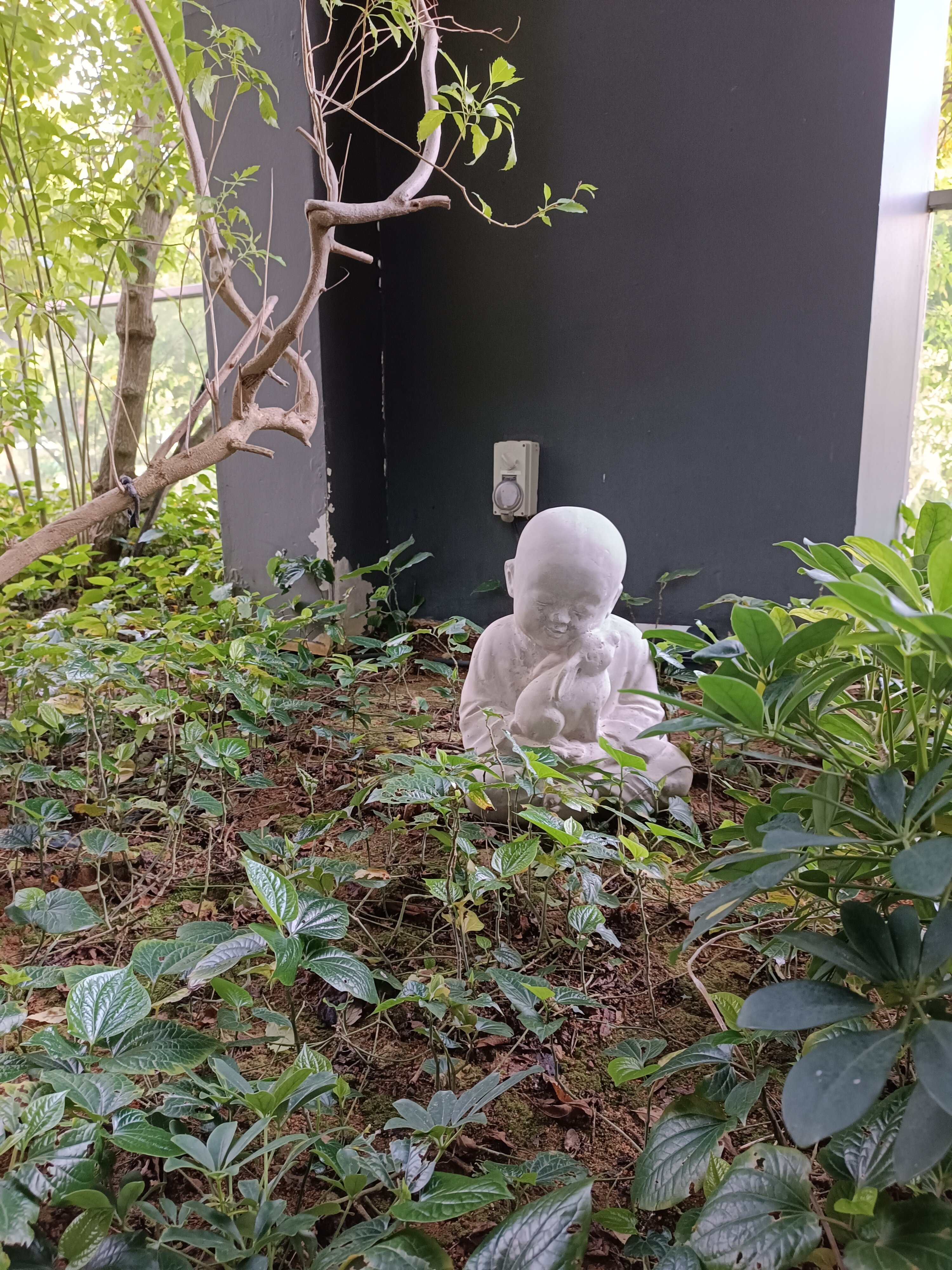 Фото Hotel Traveltine