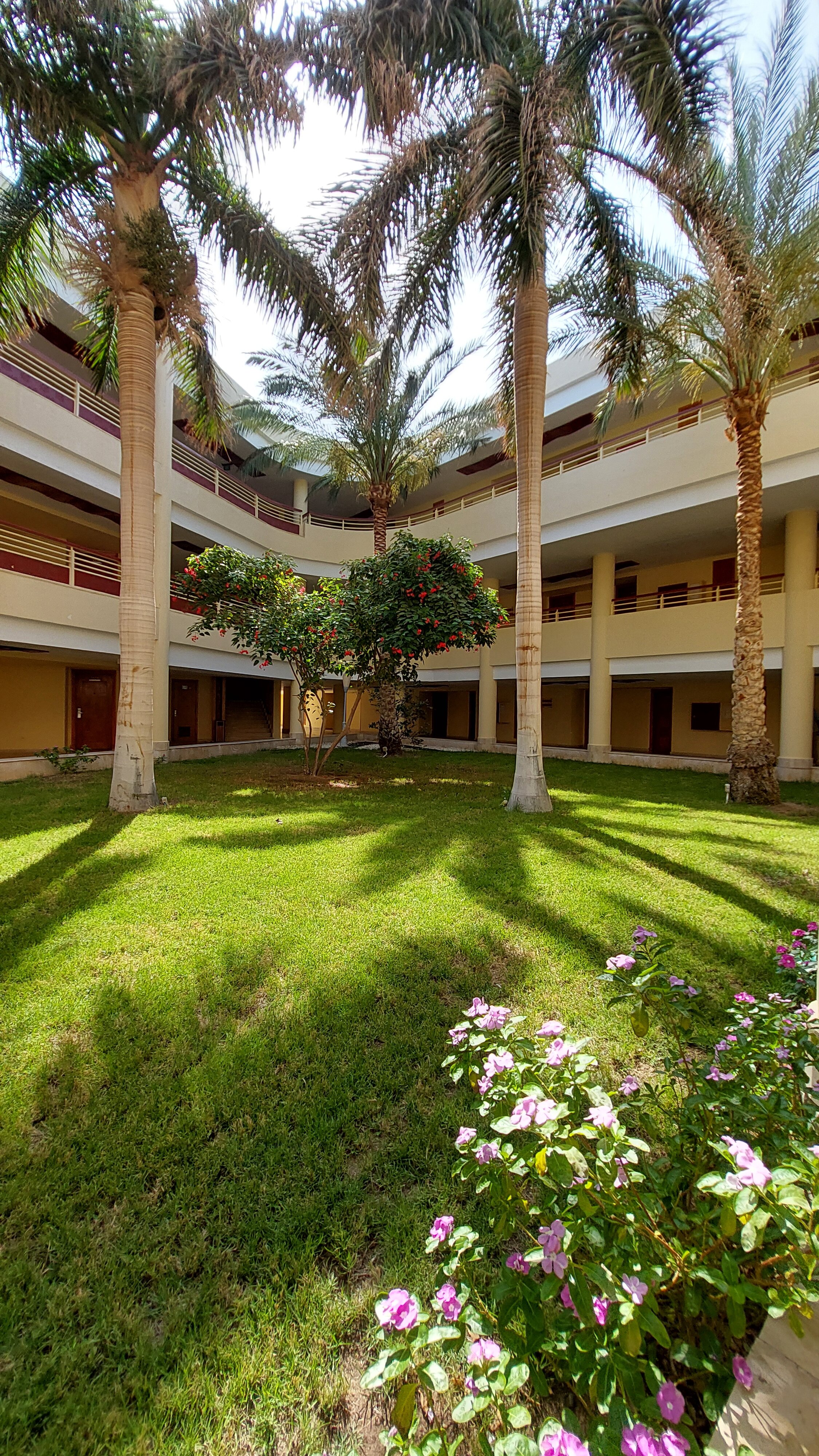 Фото Barceló Tiran Sharm