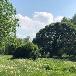 Фото ЛунаПулково