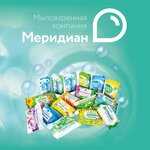Meridian (посёлок имени М. Горького, Северная улица, 2А), household chemicals wholesale