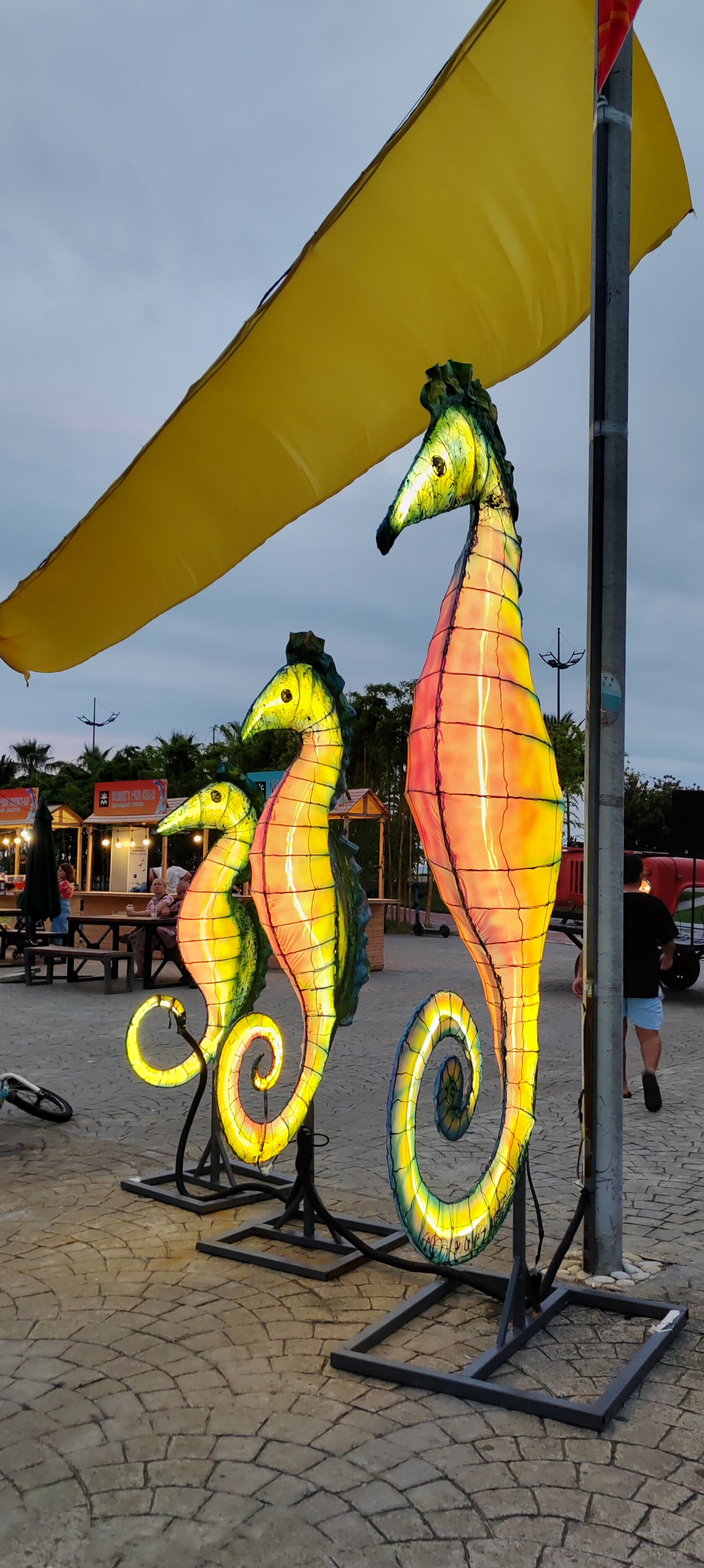 Фото 181974327857