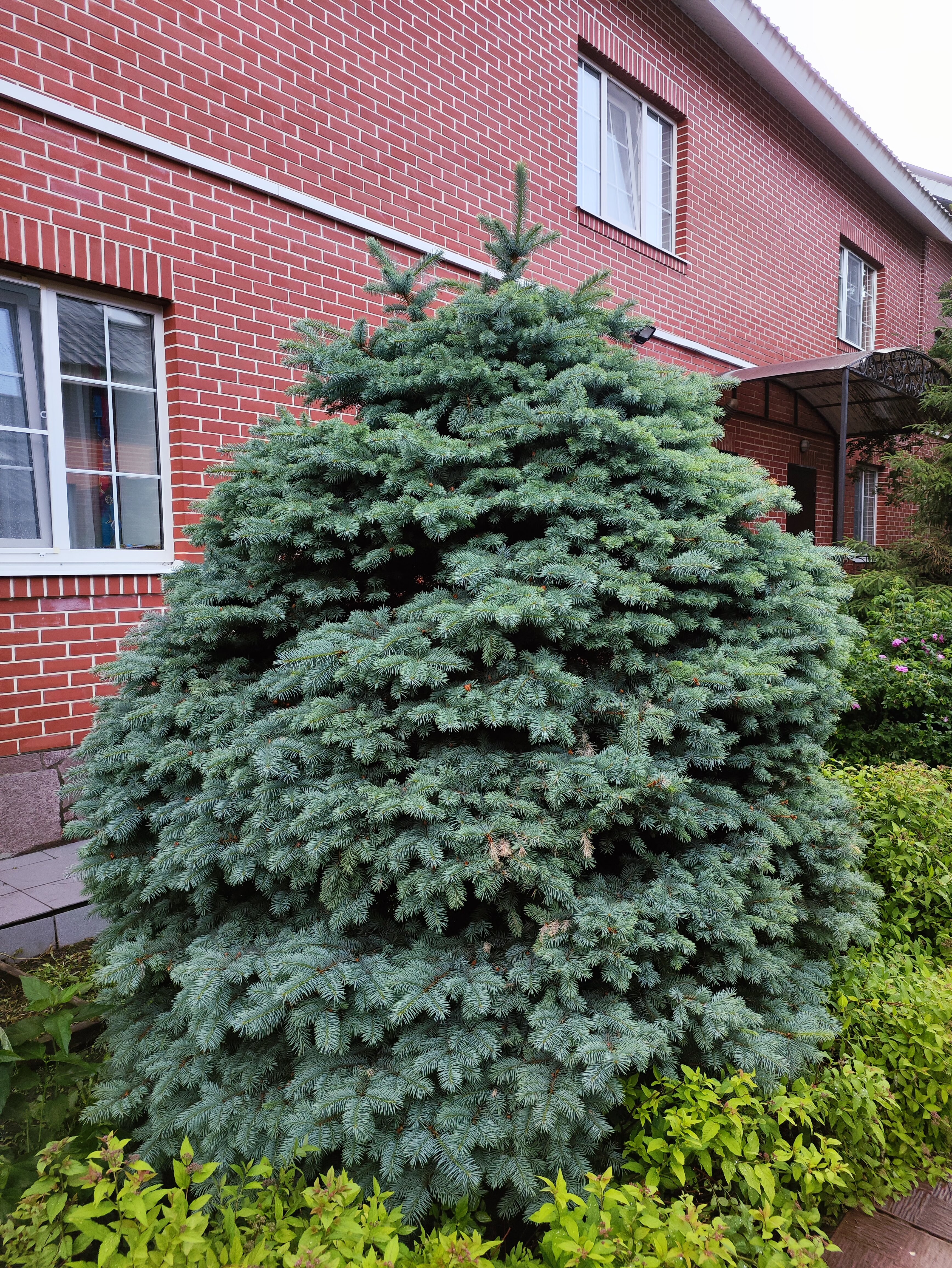 Фото Apreski Бунгало на Банном