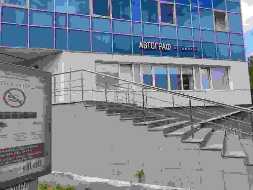 Yalangoch qoshiqchi Sahara