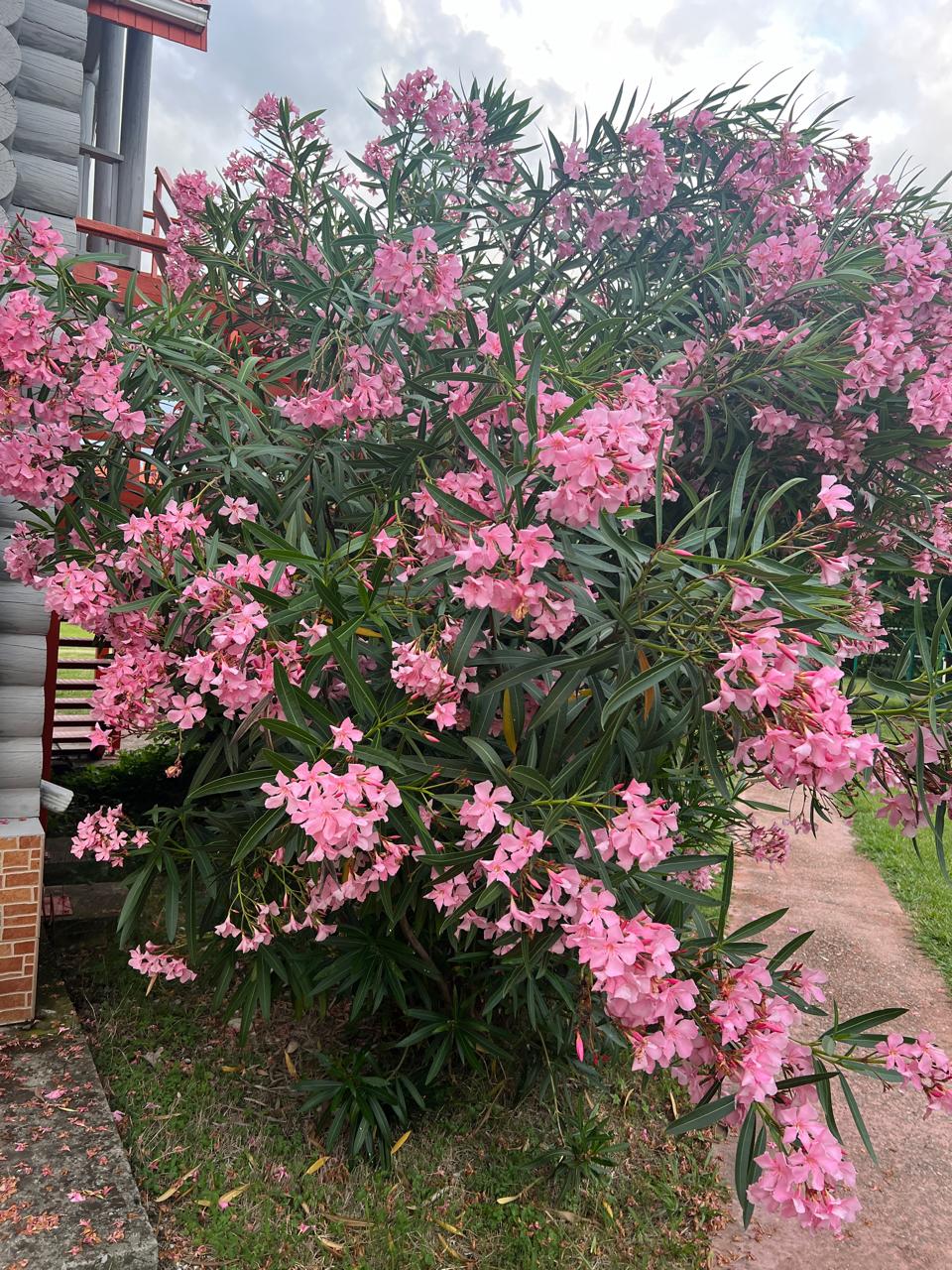 Фото Озеро Дивное