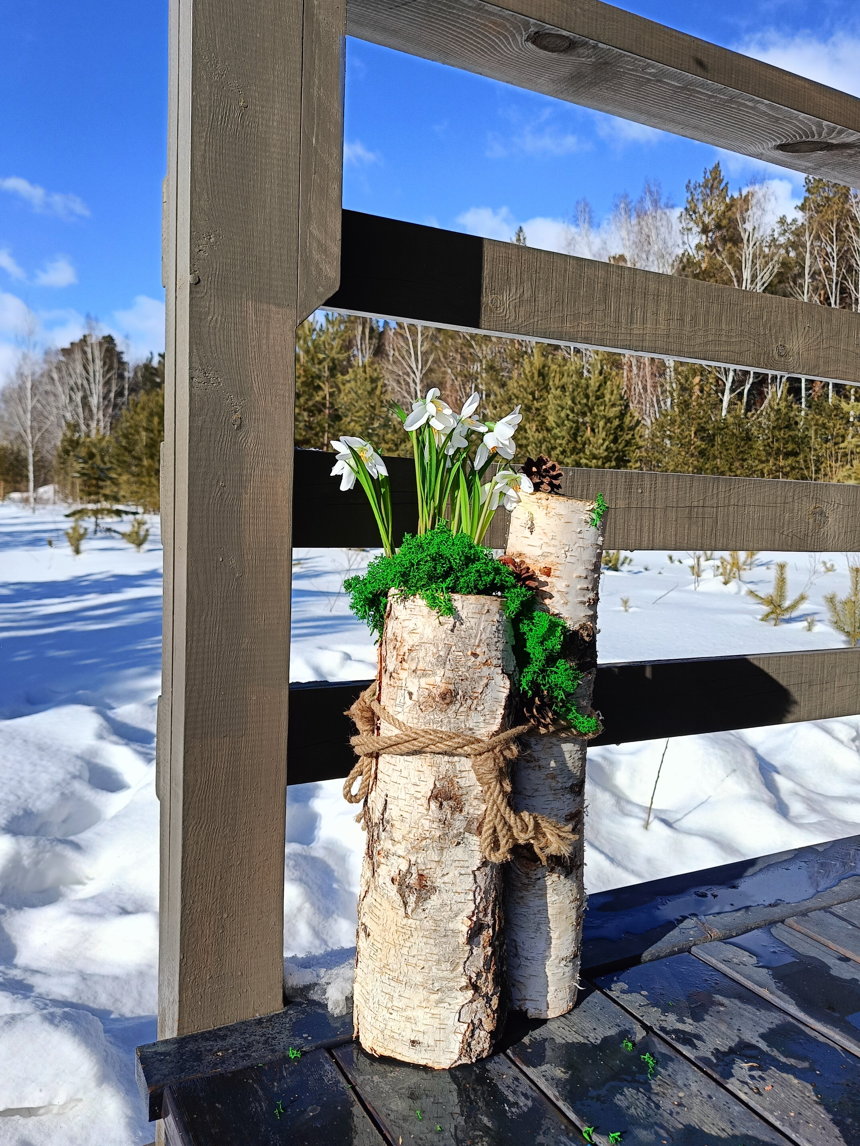 Фото БелкиПарк