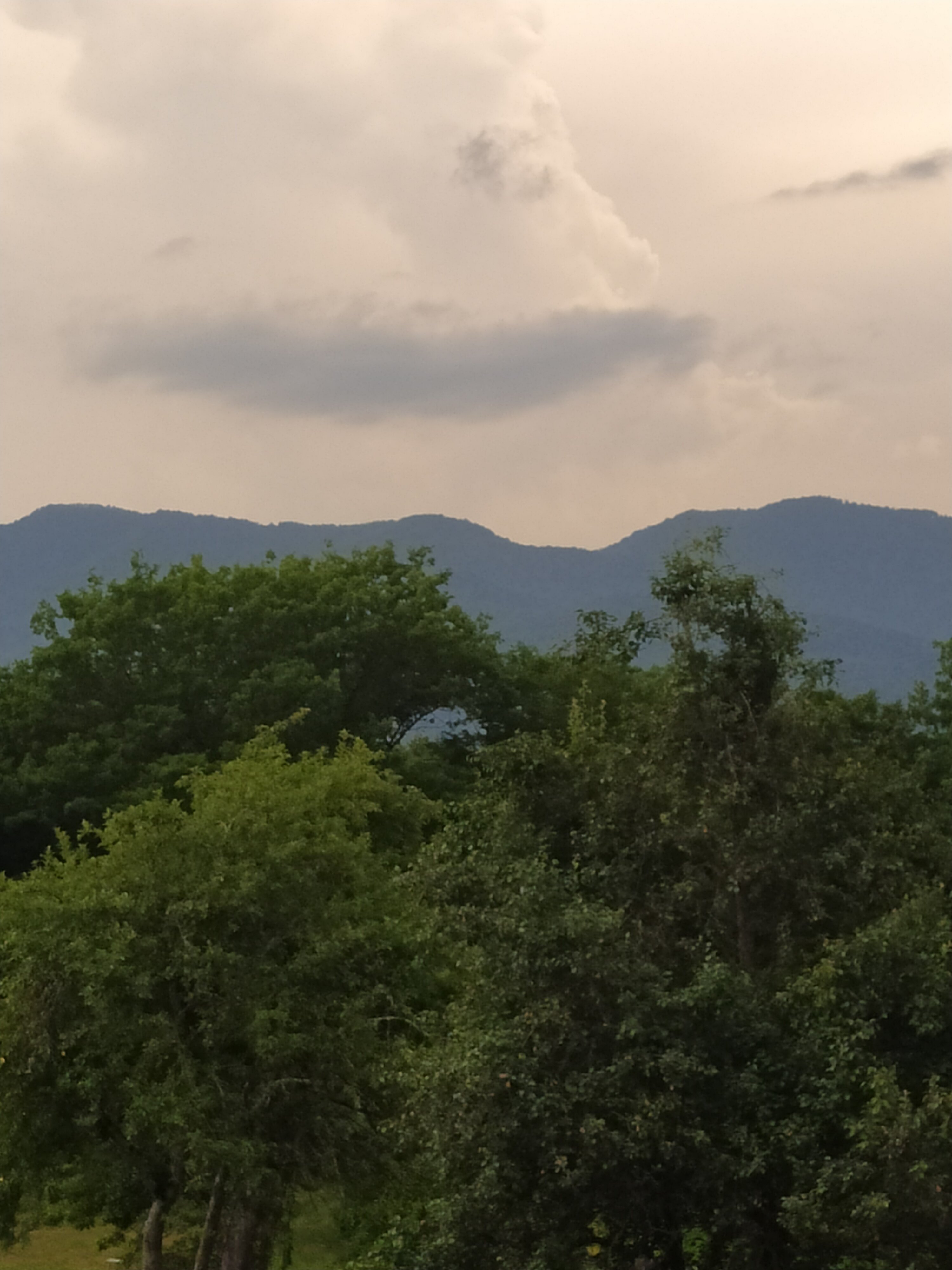 Фото Эко-Дача с видом на горы