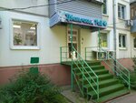 Flower paradise (Motornaya Street, 11/10), flower shop