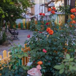 Фото Аленка