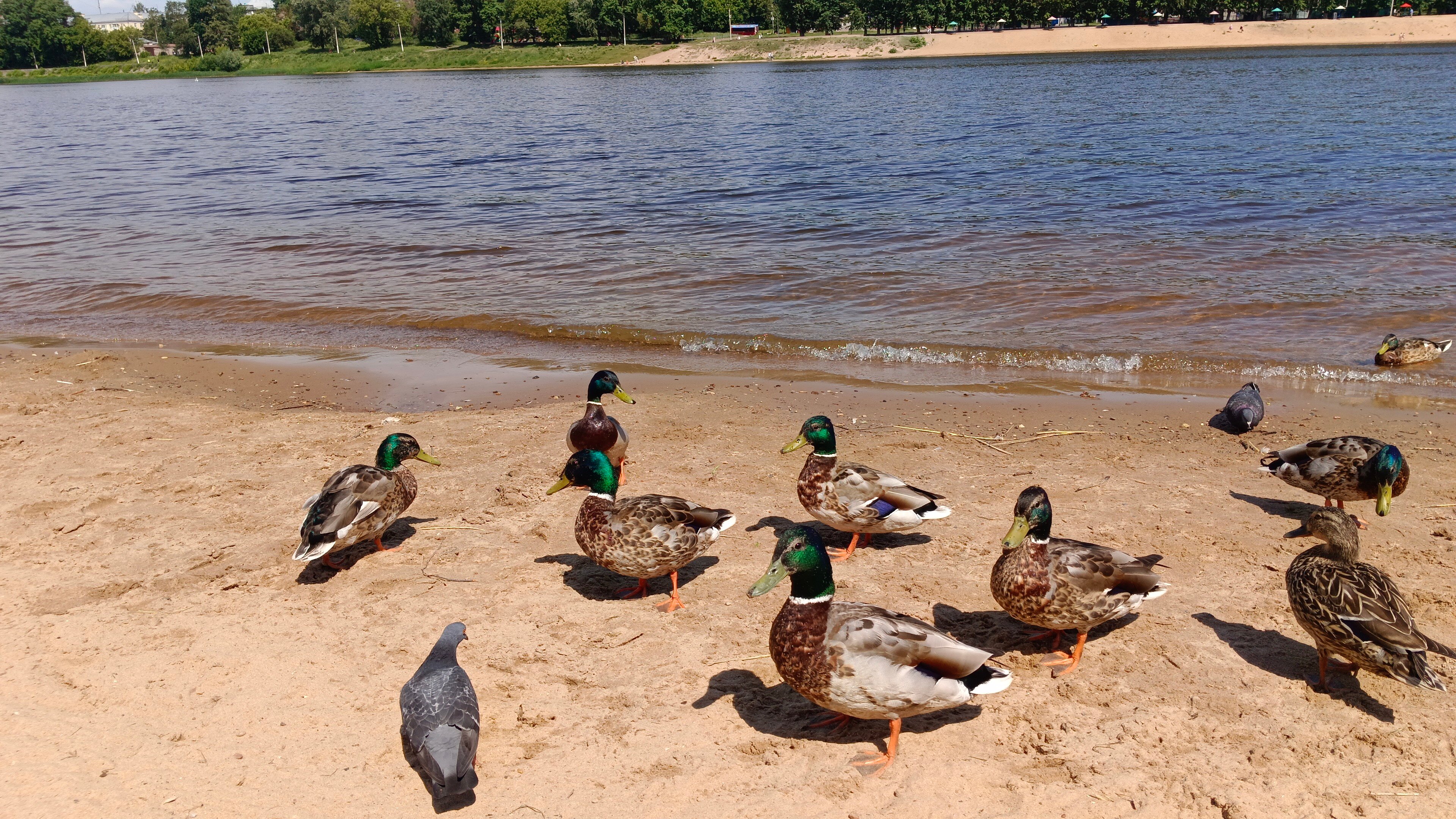 Фото Мансарда