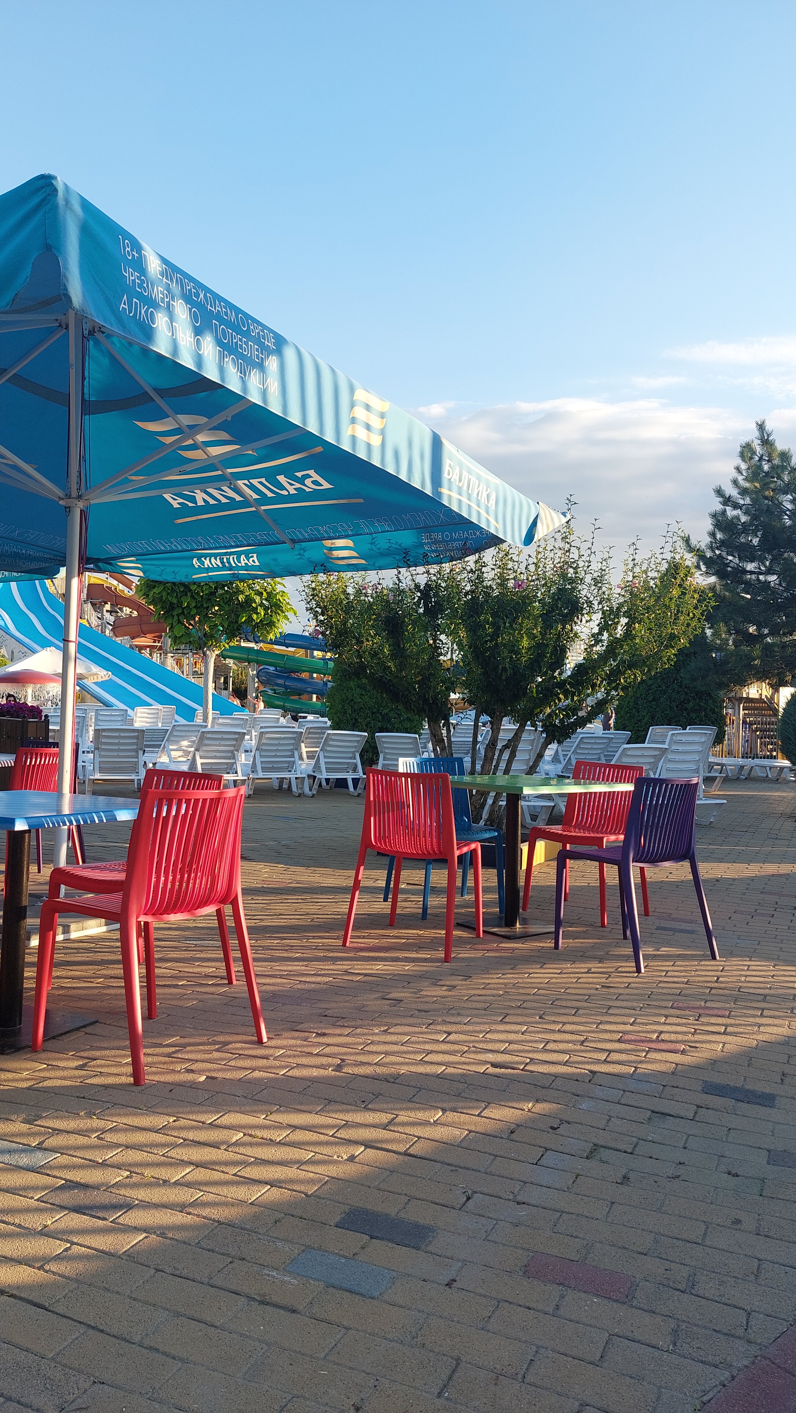 Фото Ванилька