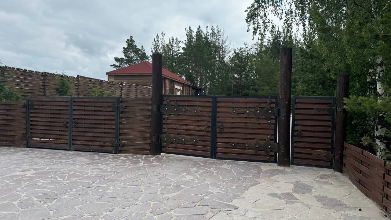 Фото Магия леса