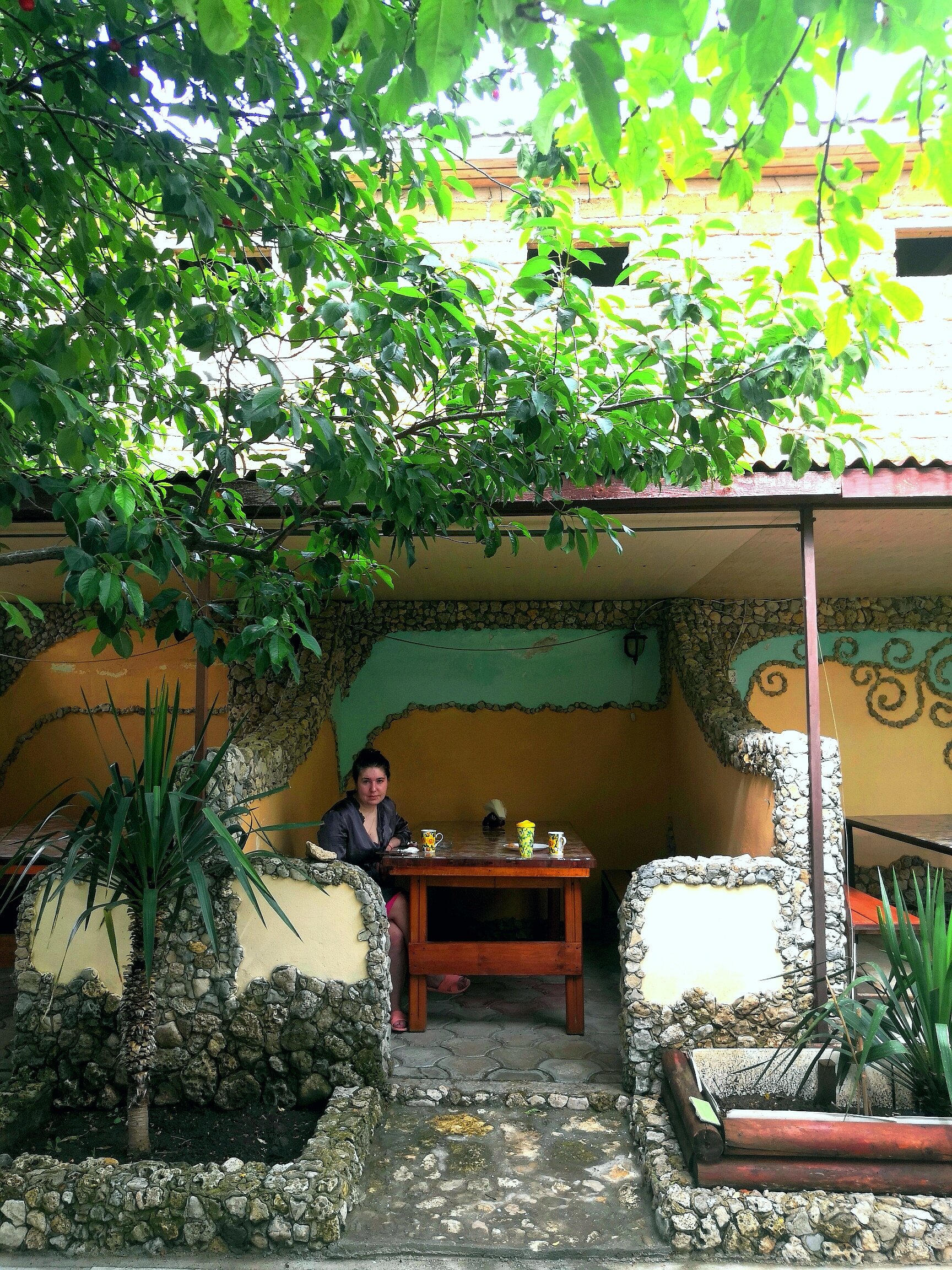 Фото Роза ветров