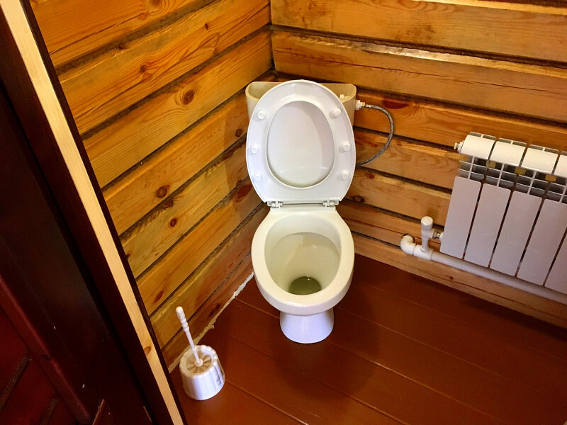 Фото Солнечная