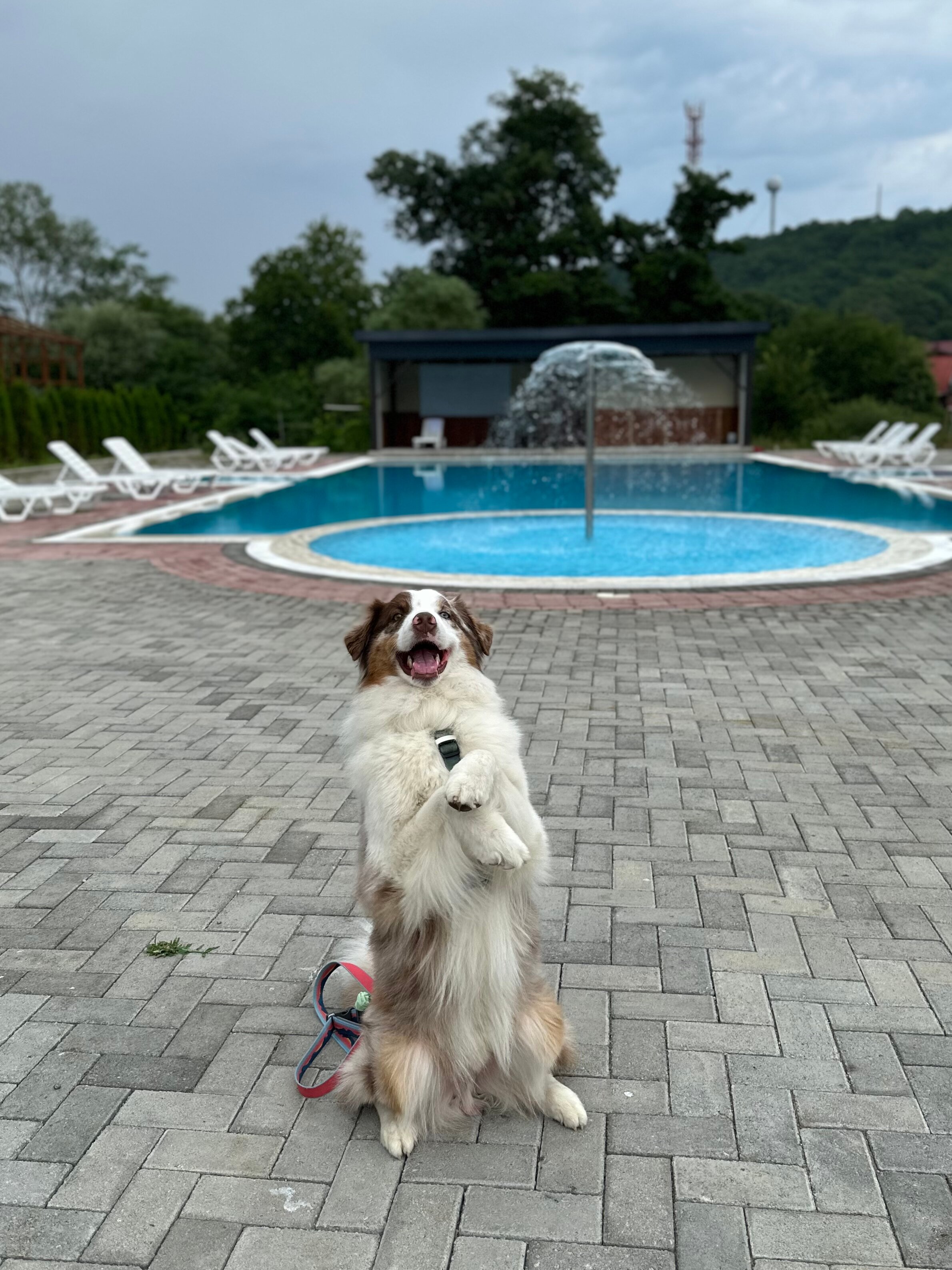 Фото Дом с бассейном