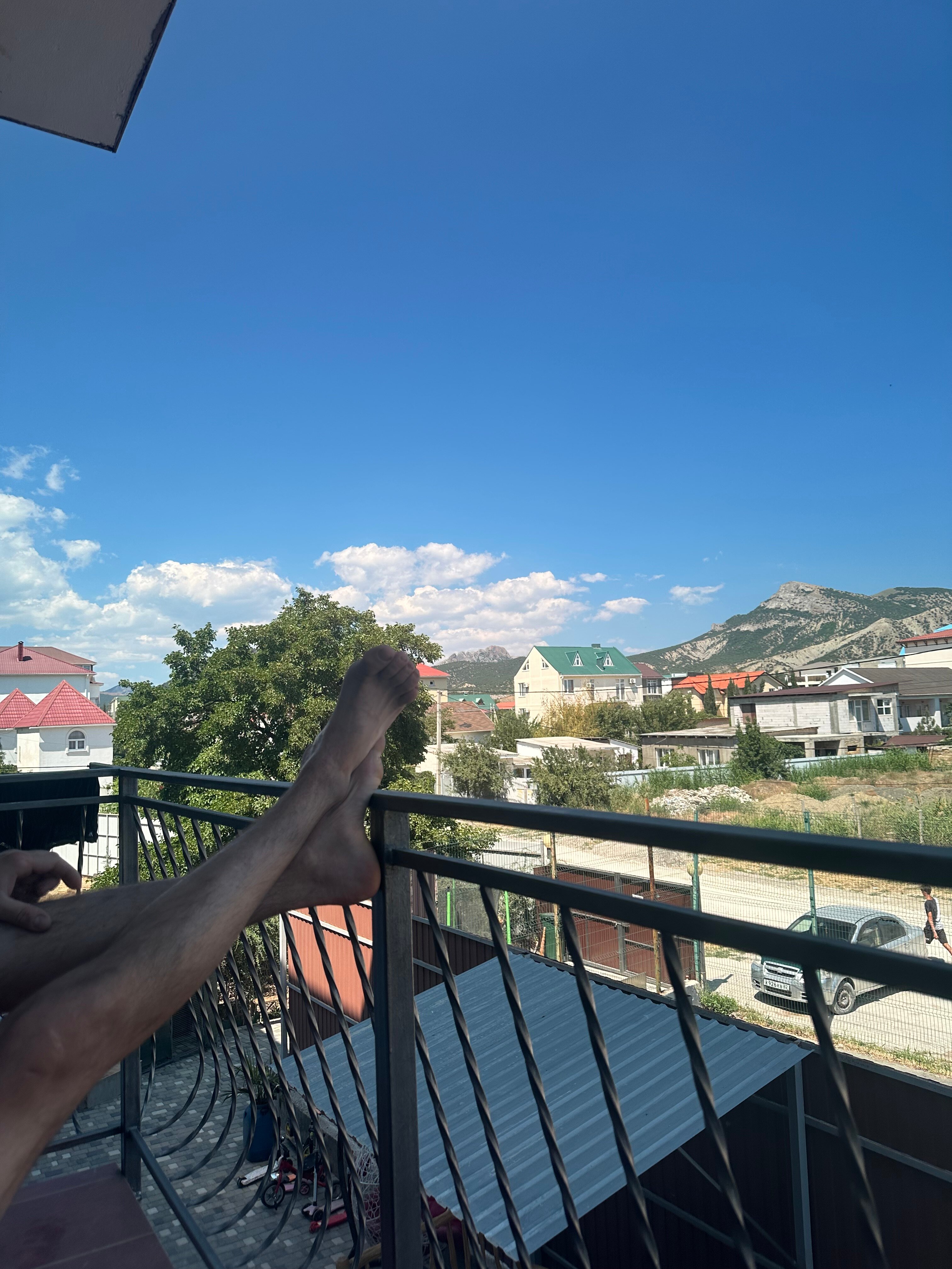 Фото Барракуда