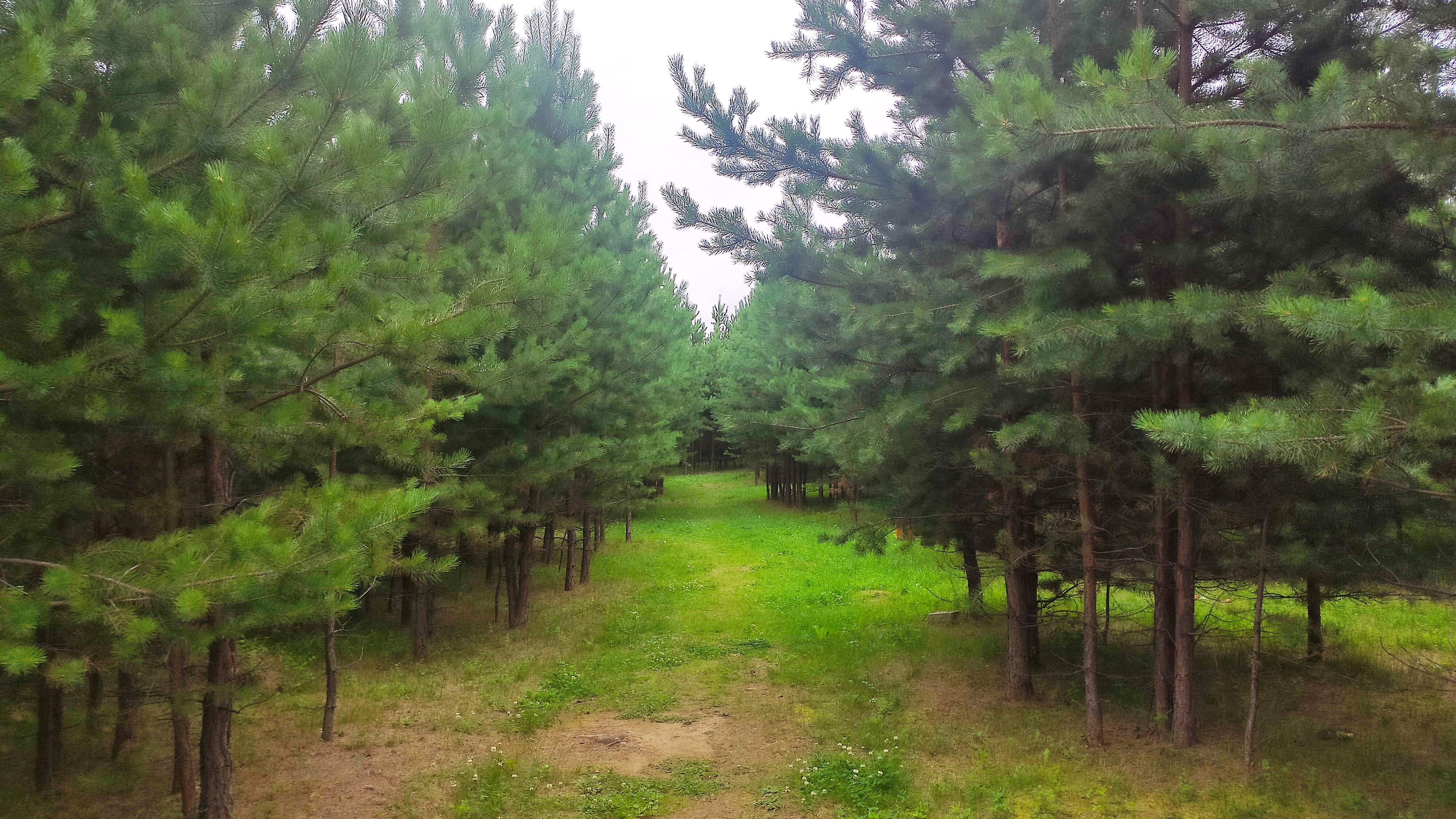 Фото Лестория