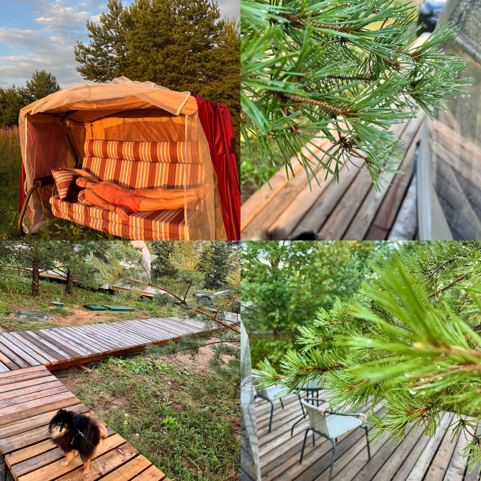 Фото Точка Дзен