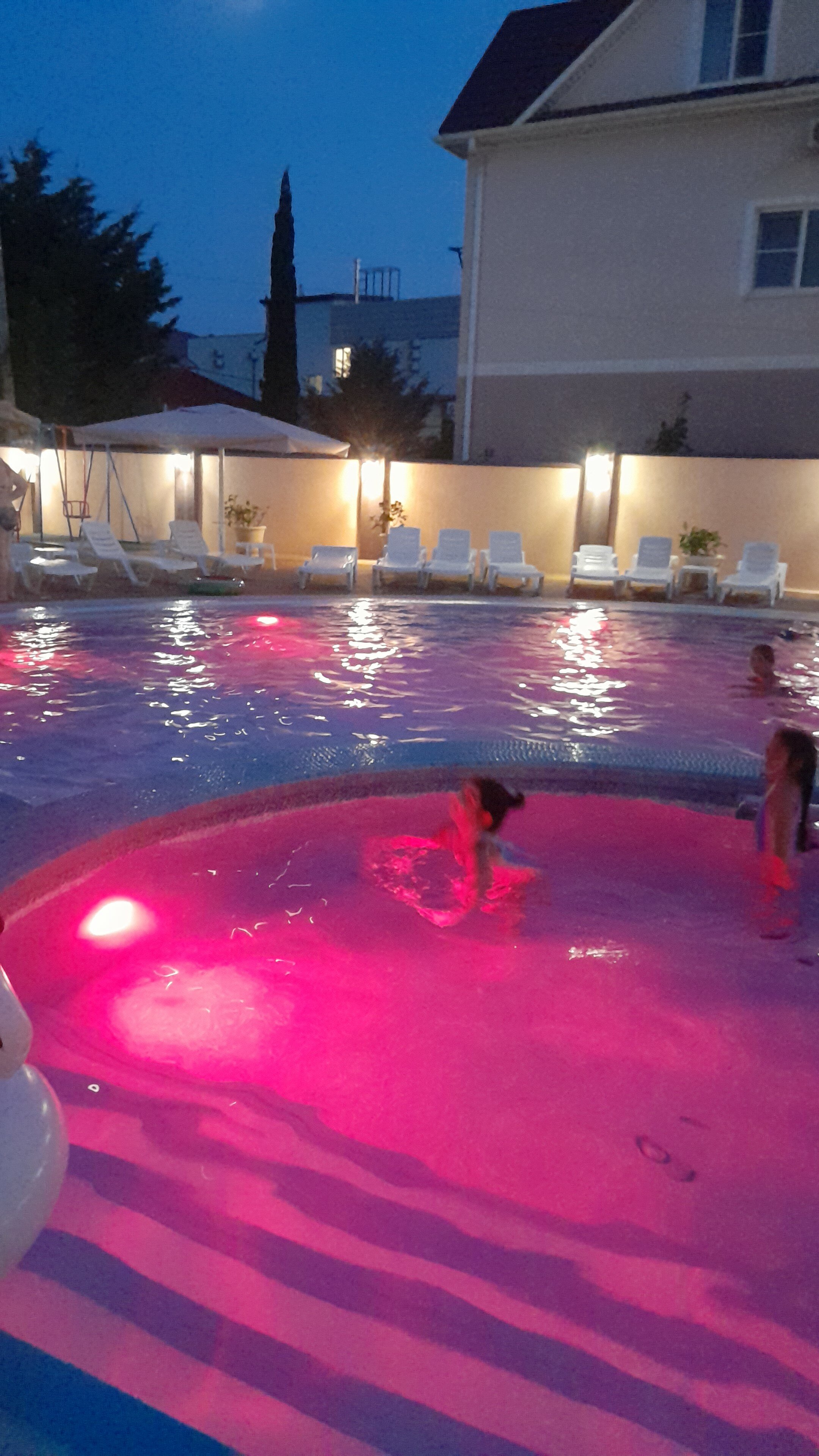 Фото Кипарис