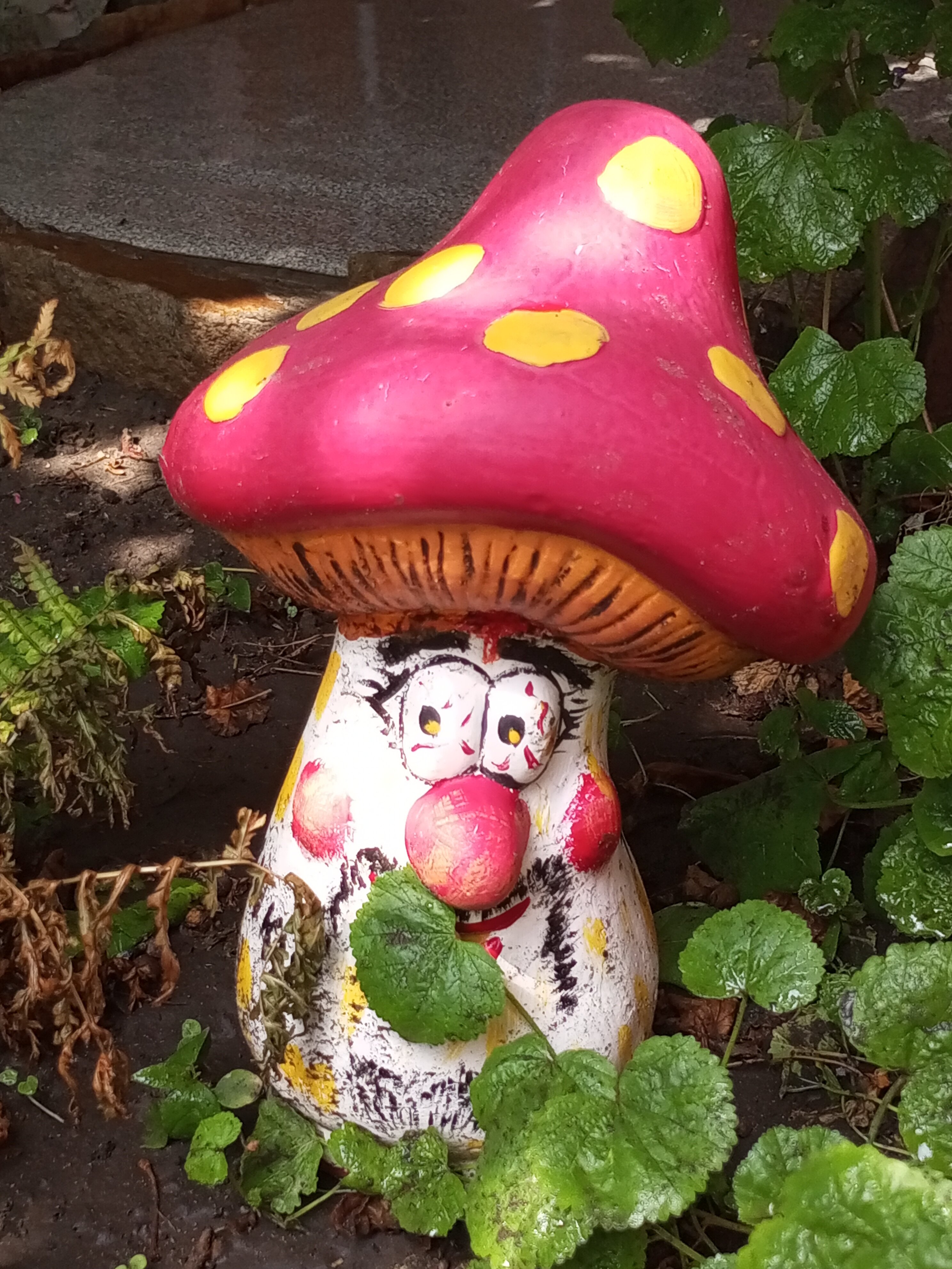 Фото Добродом