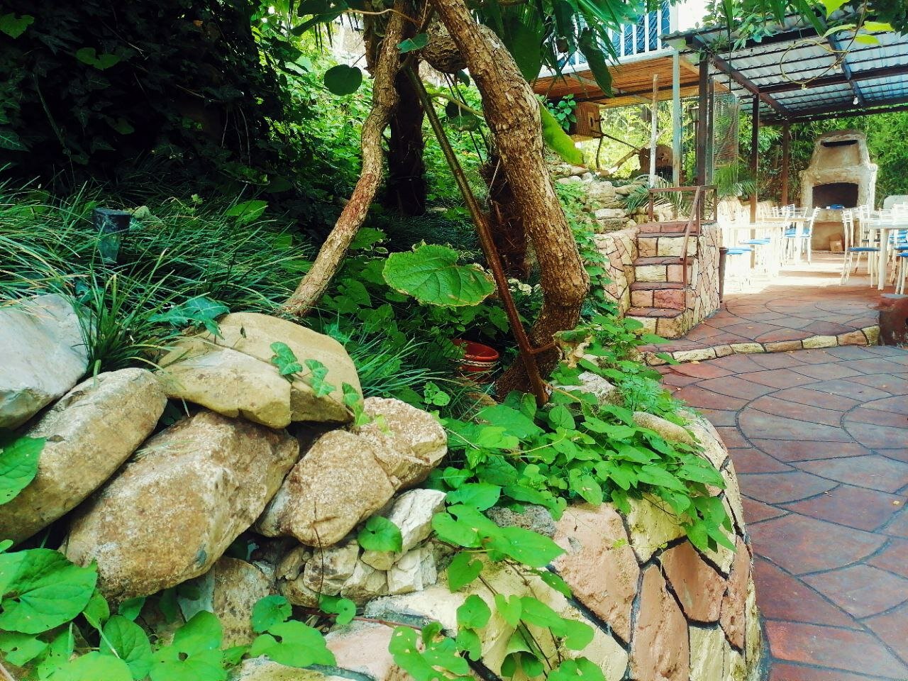 Фото Весна 6