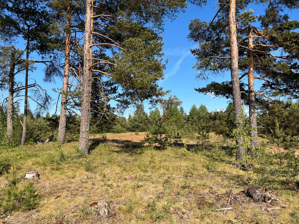 Фото Кибитка на холме