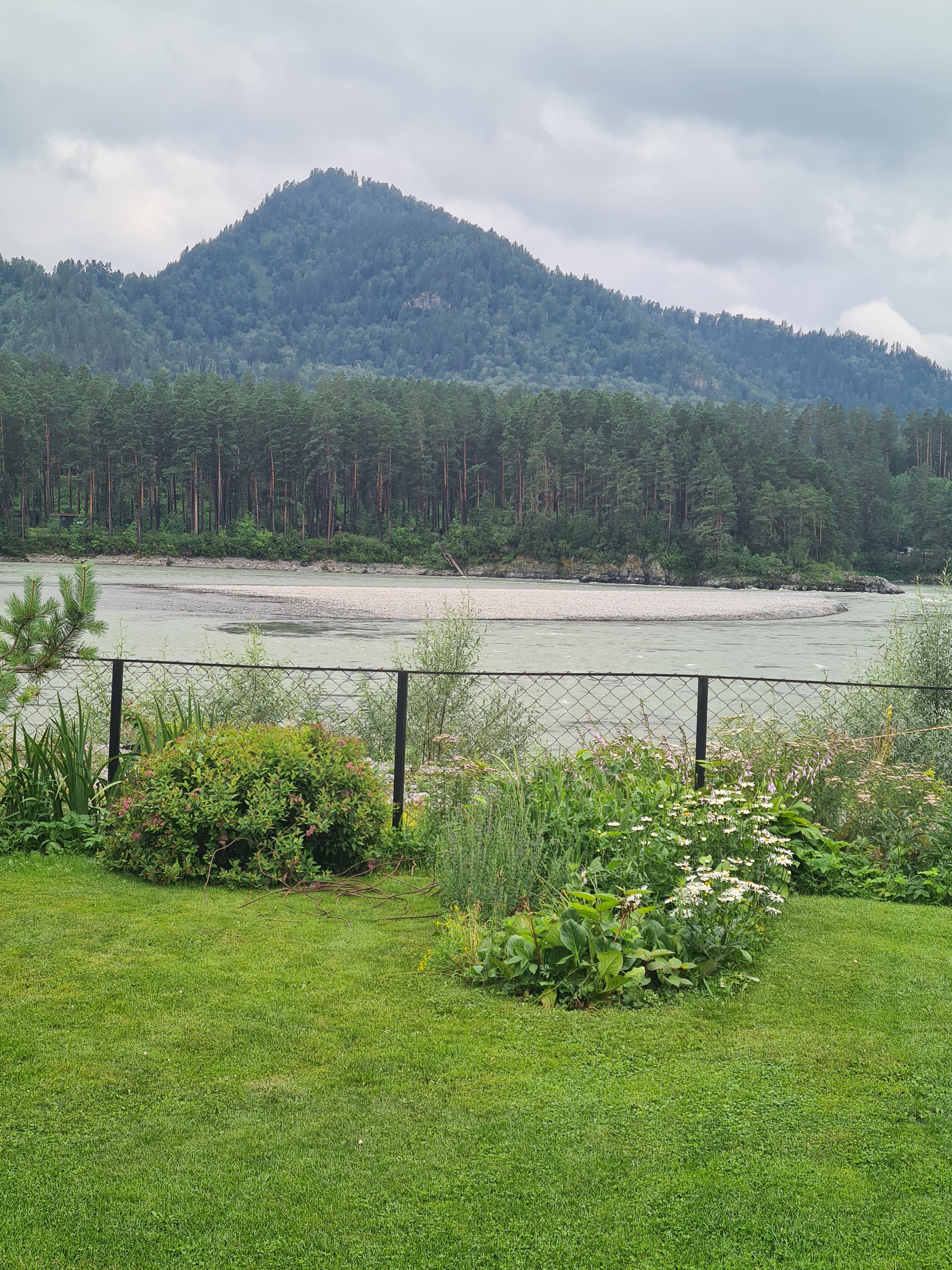 Фото Манкат