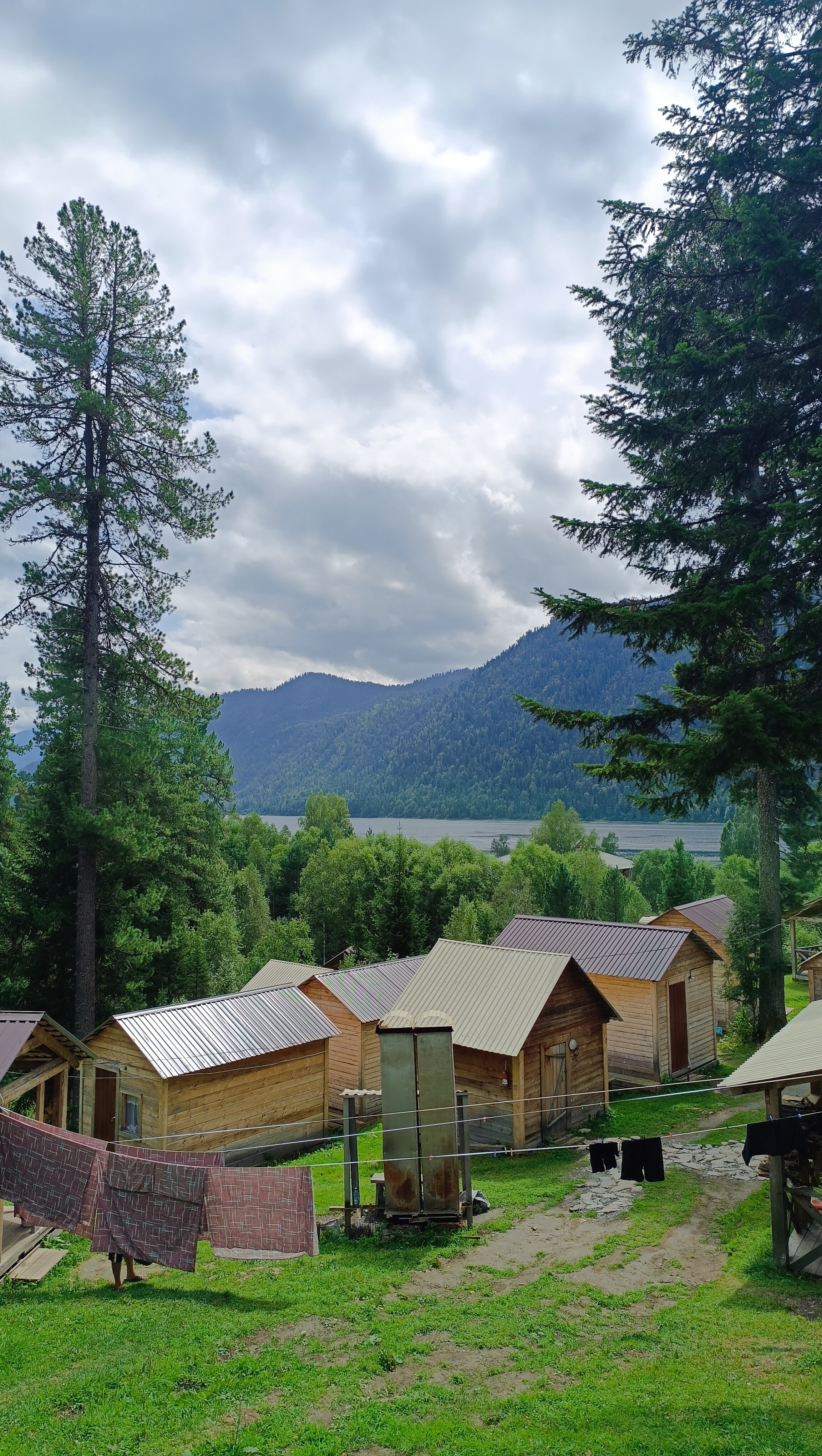 Фото Кедровый берег