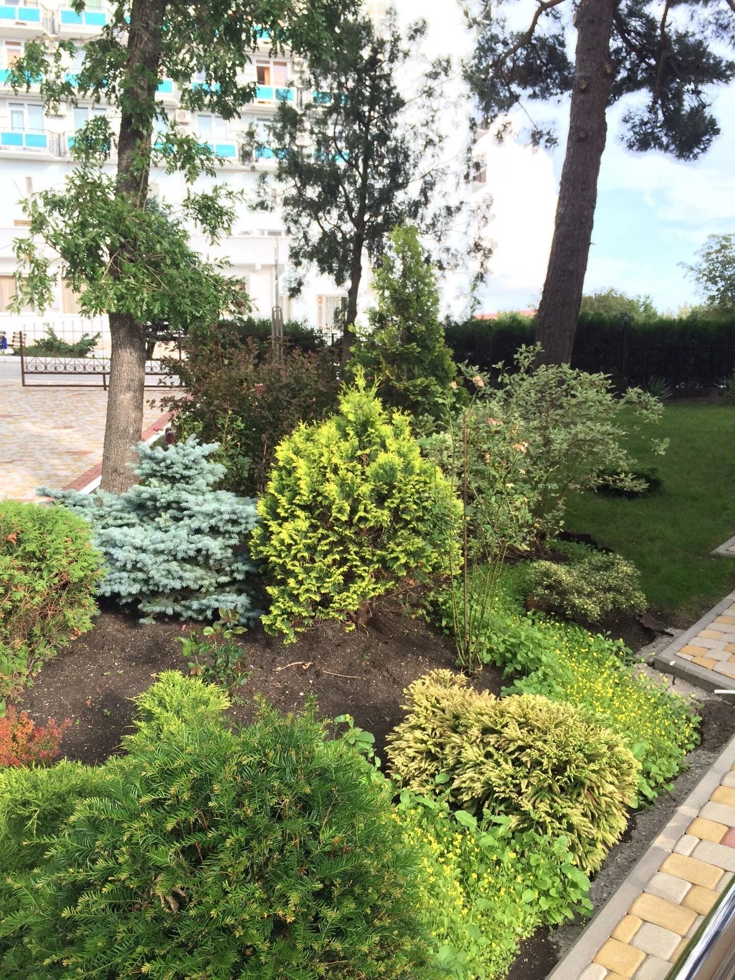 Фото Феерия