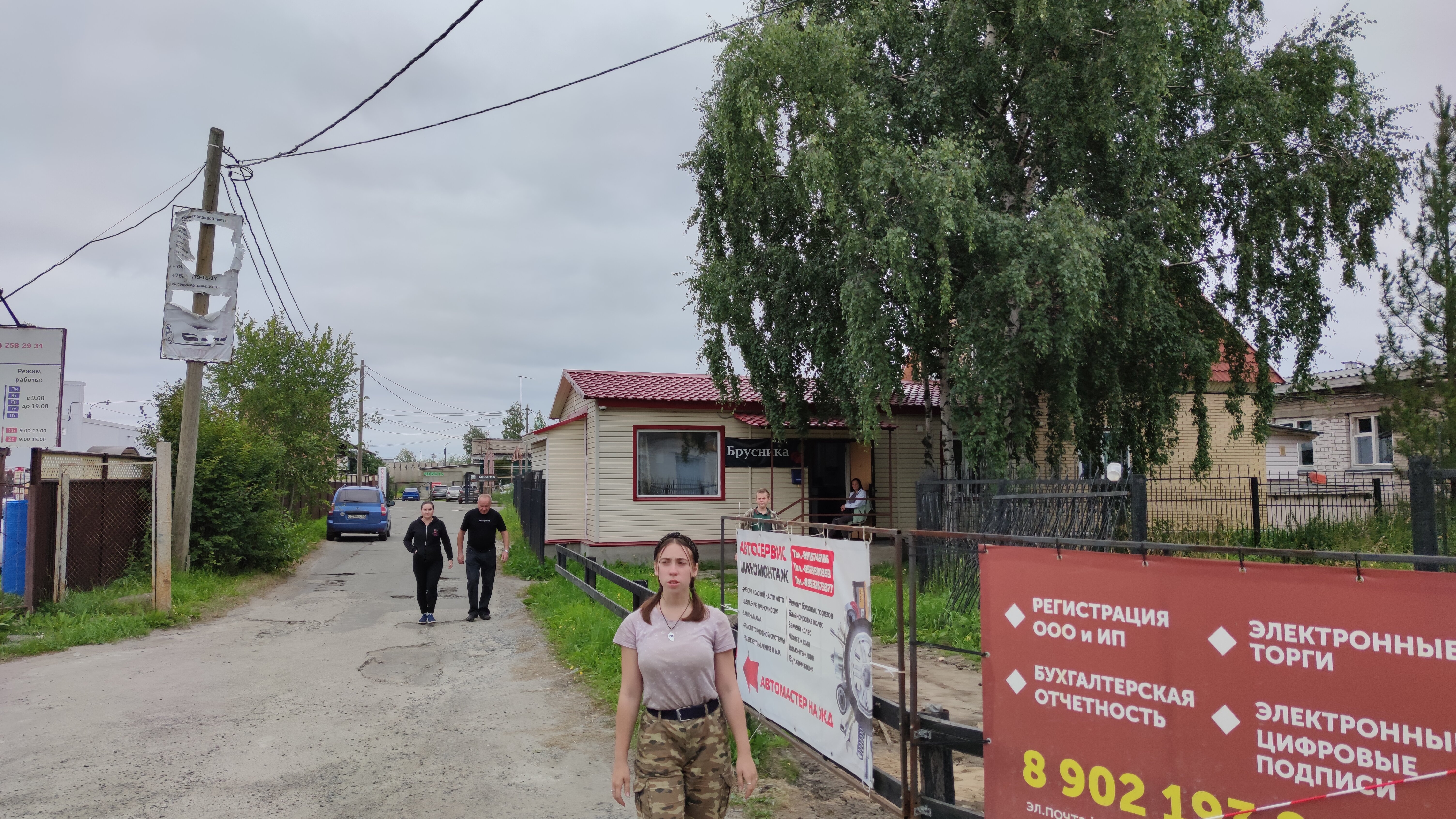 Фото Брусника