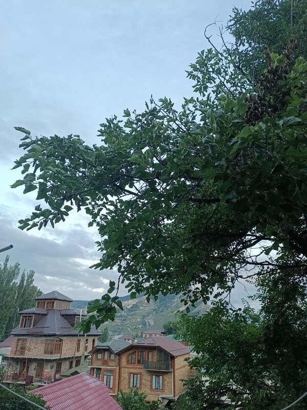 Гостевой дом Домик у Розы в Гунибе