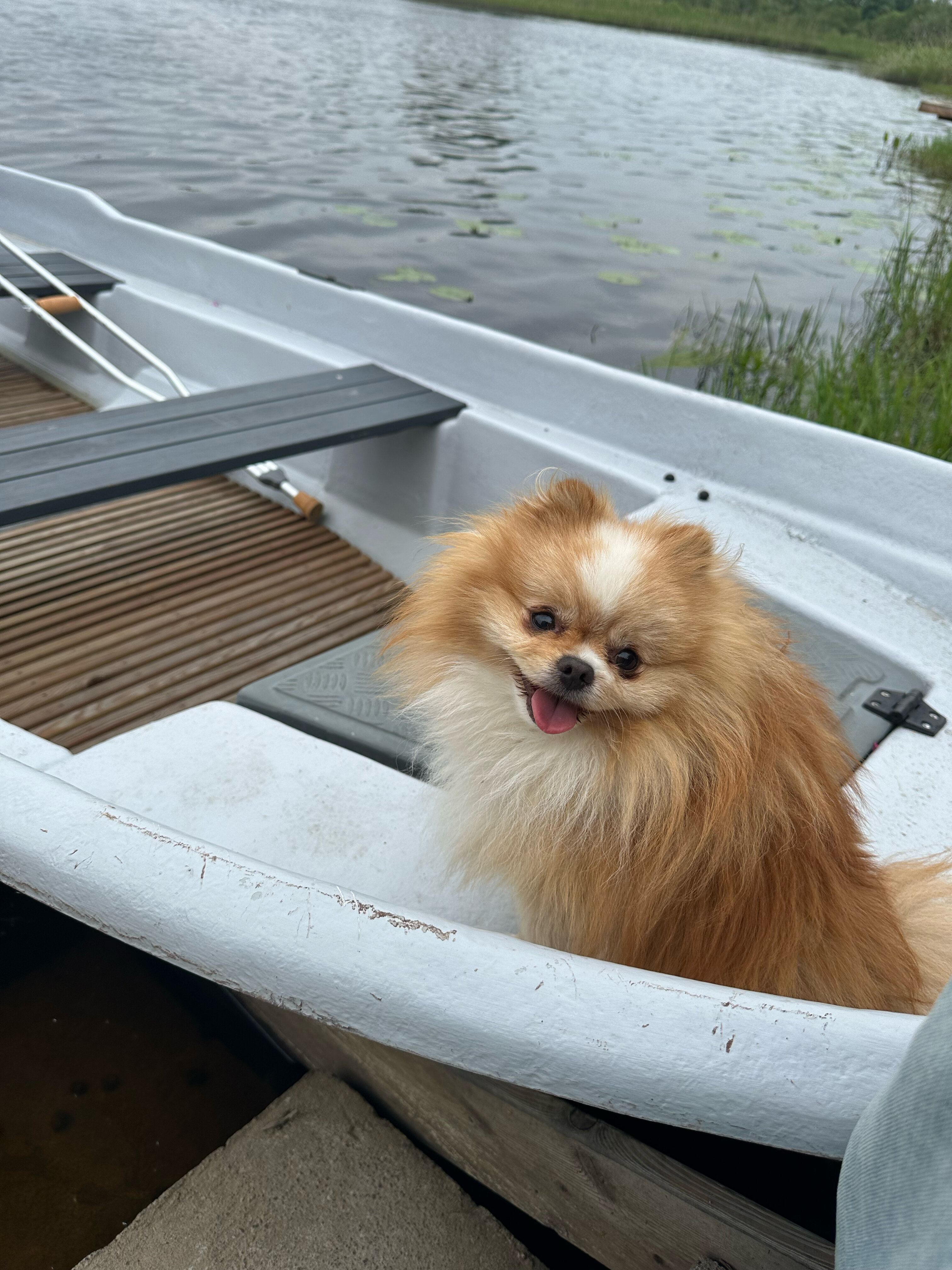 Фото Загородный дом Räisälä
