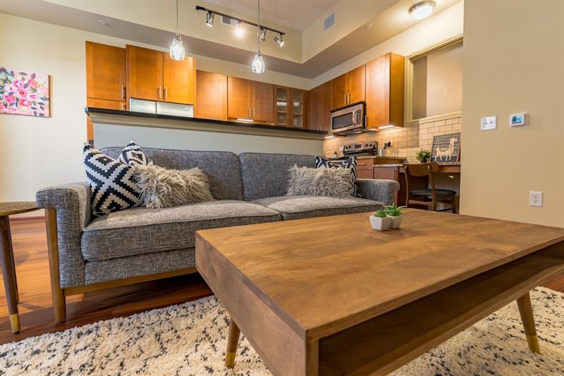 Фото The Luxury Suites of Houston