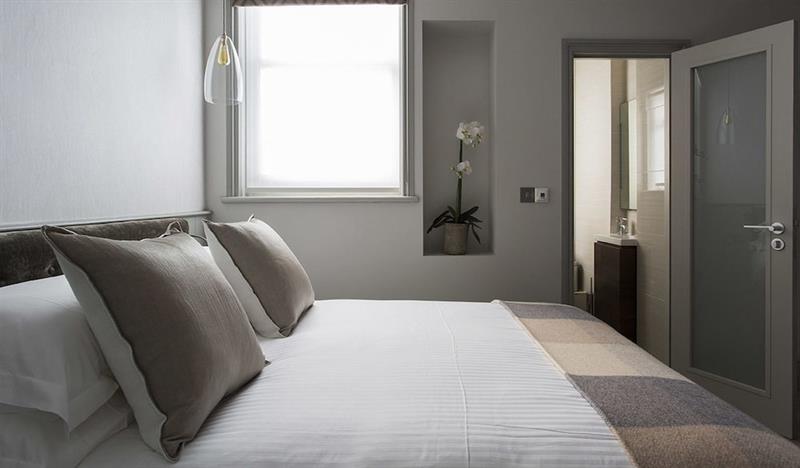 Фото The Bull and The Hide