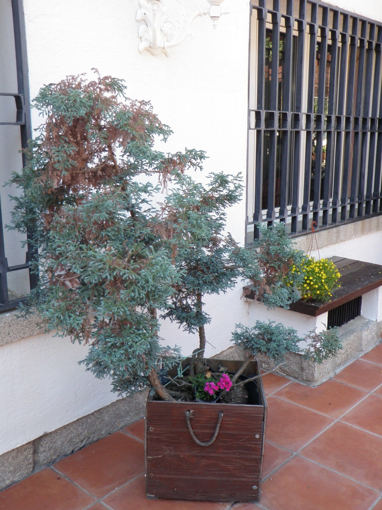 Фото Hostal Siete Picos