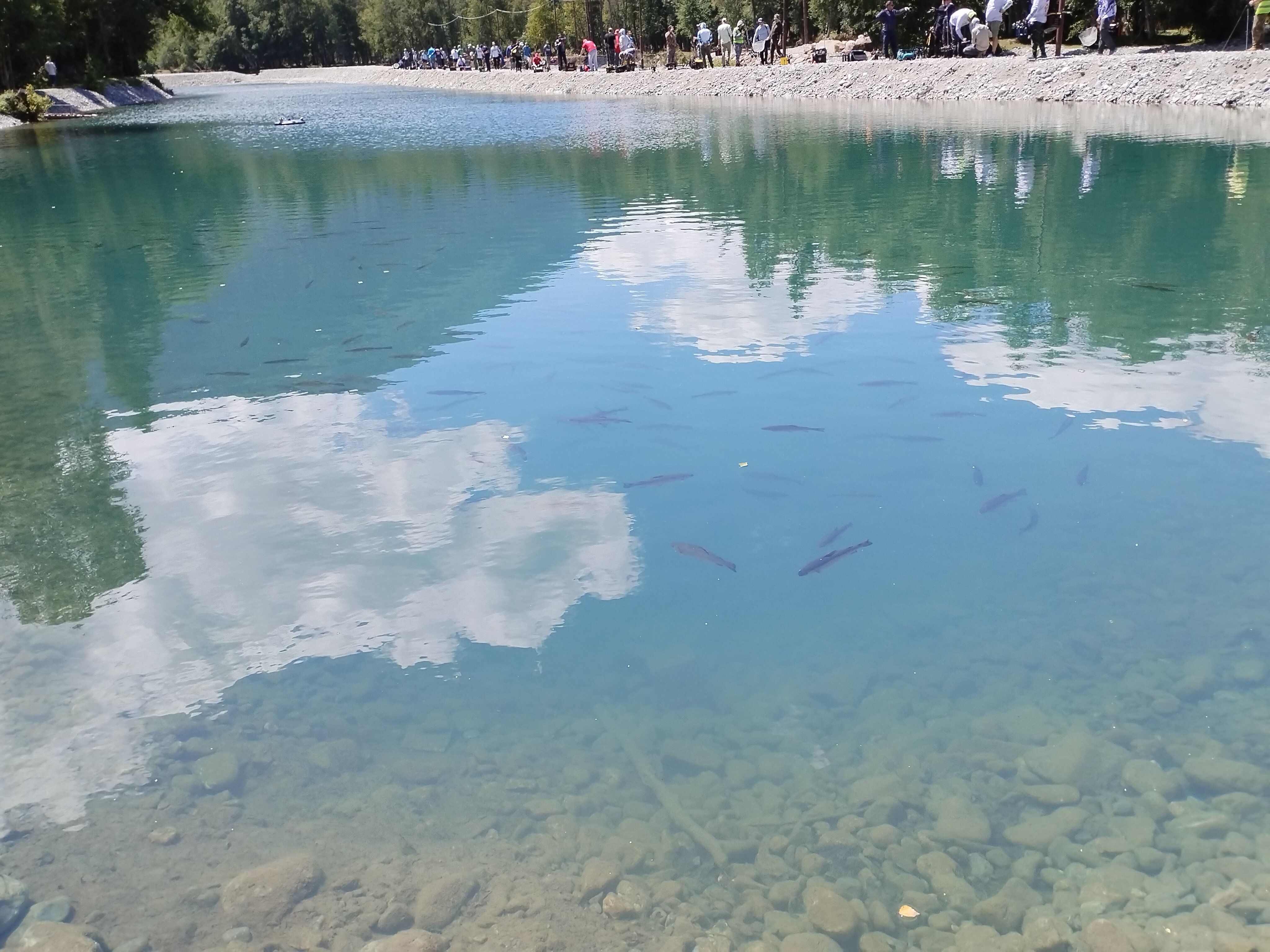 Фото Архыз Сити, Софийская поляна