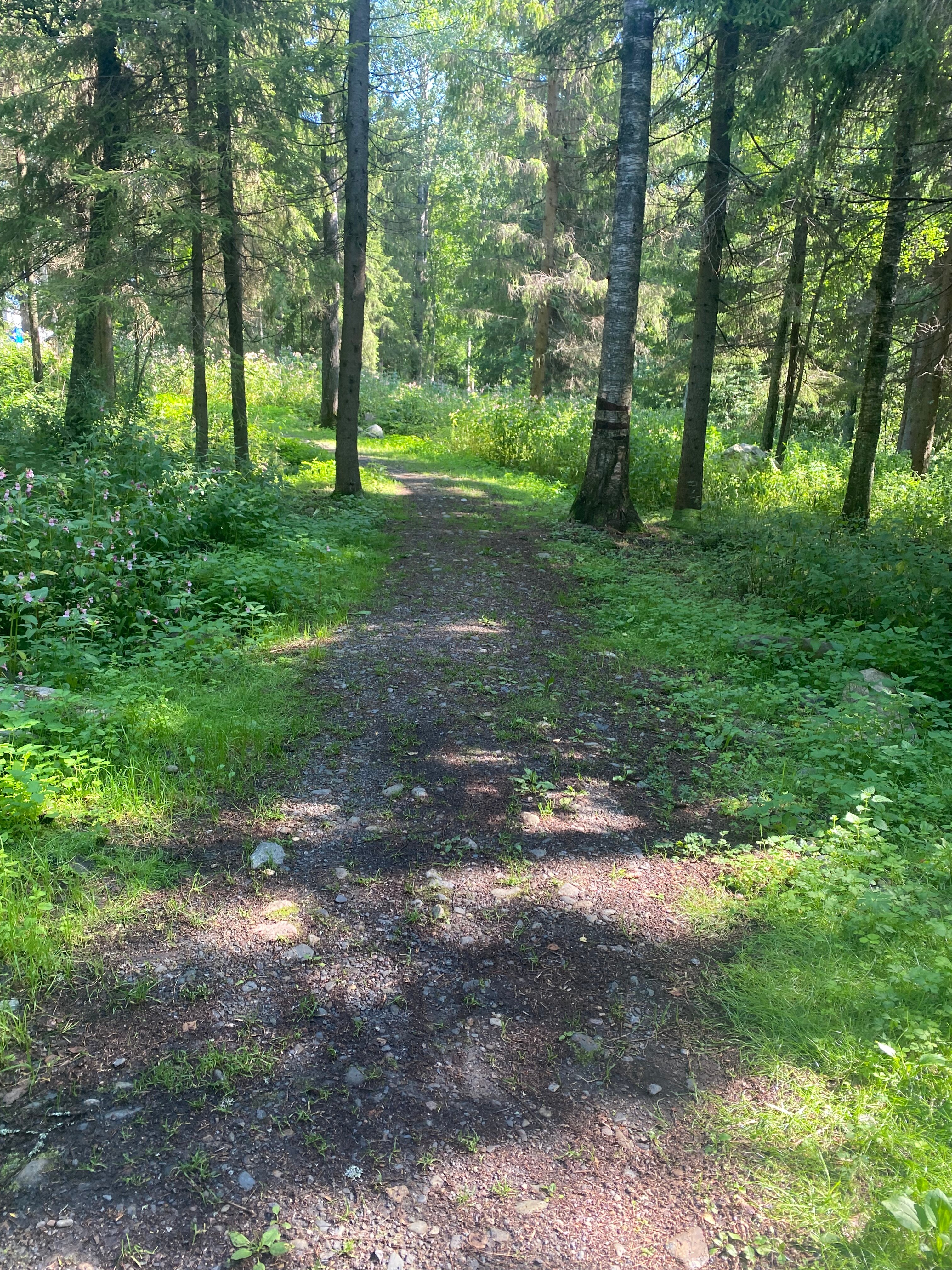 Фото Уютные дома в Карелии