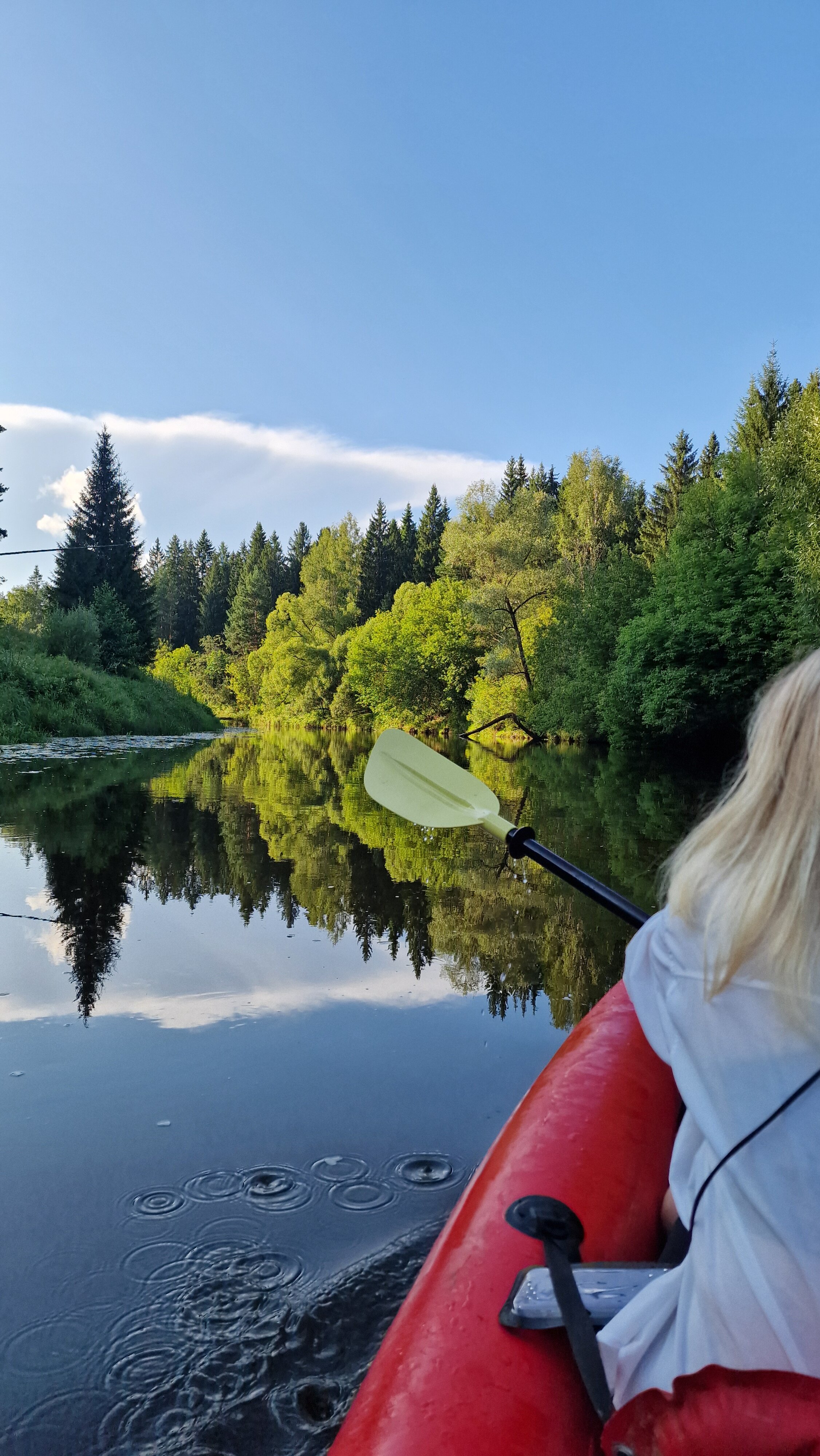 Фото Белая мельница