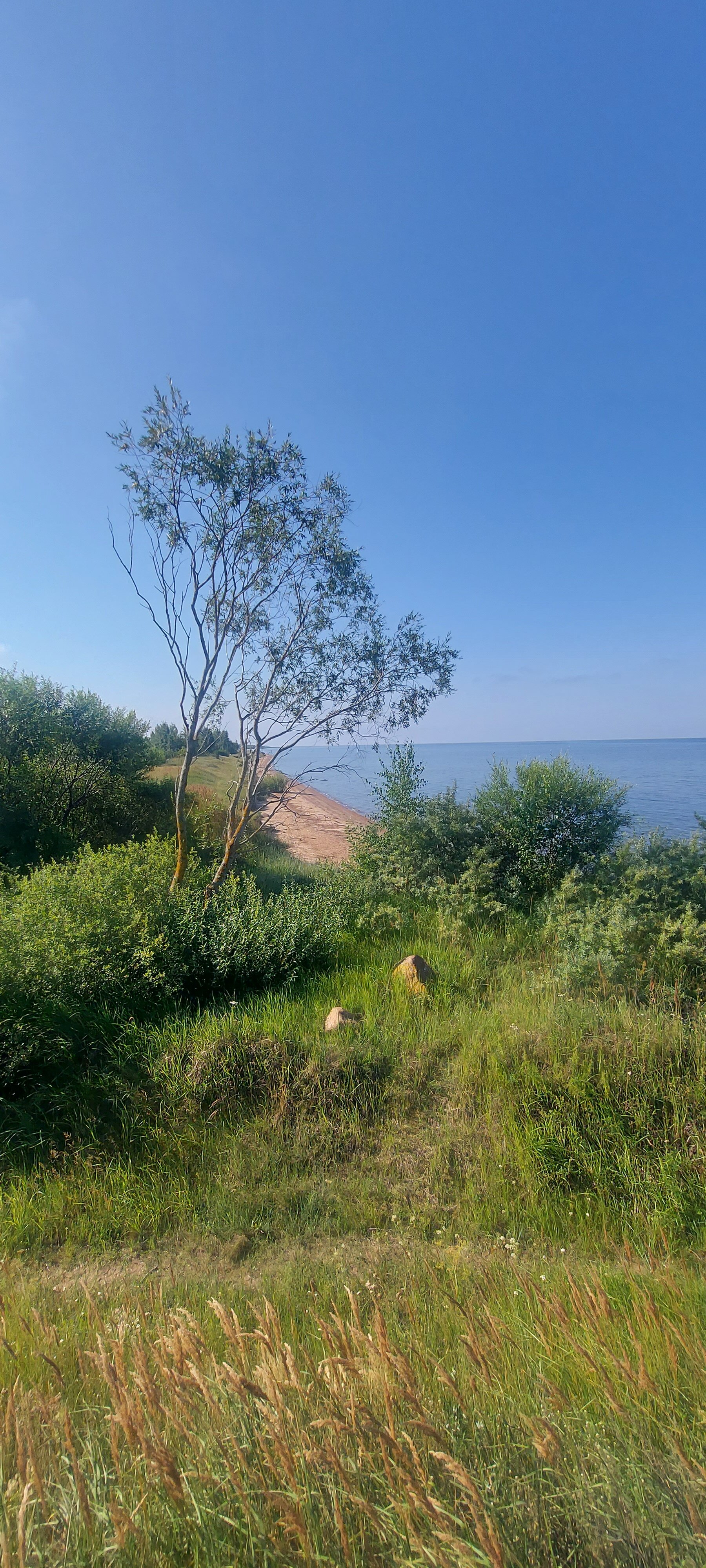 Фото Гостевой дом Устье