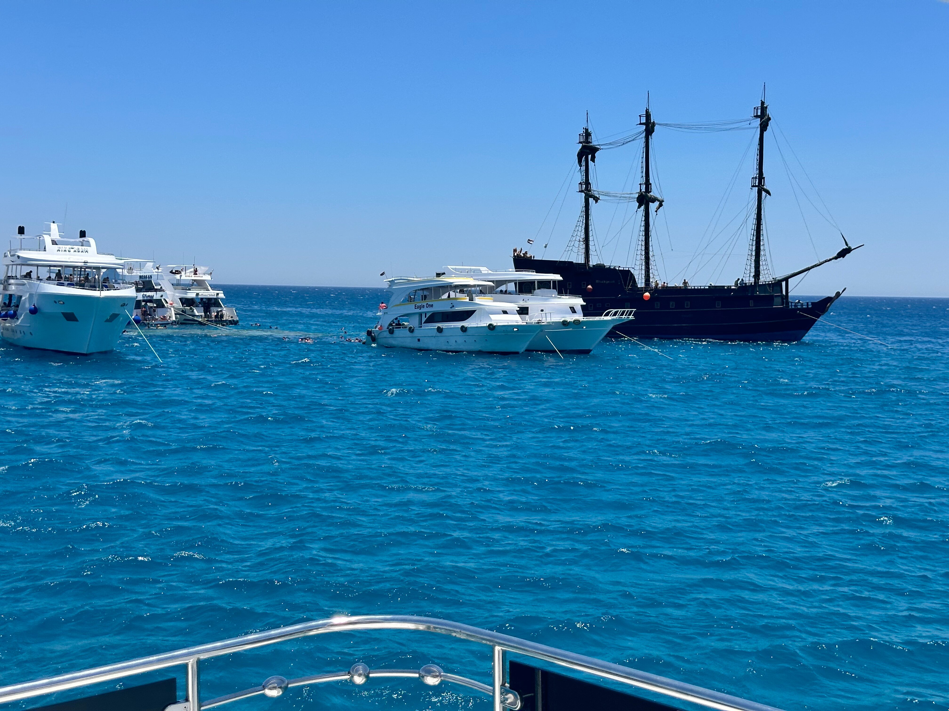 Фото Iberotel Palace