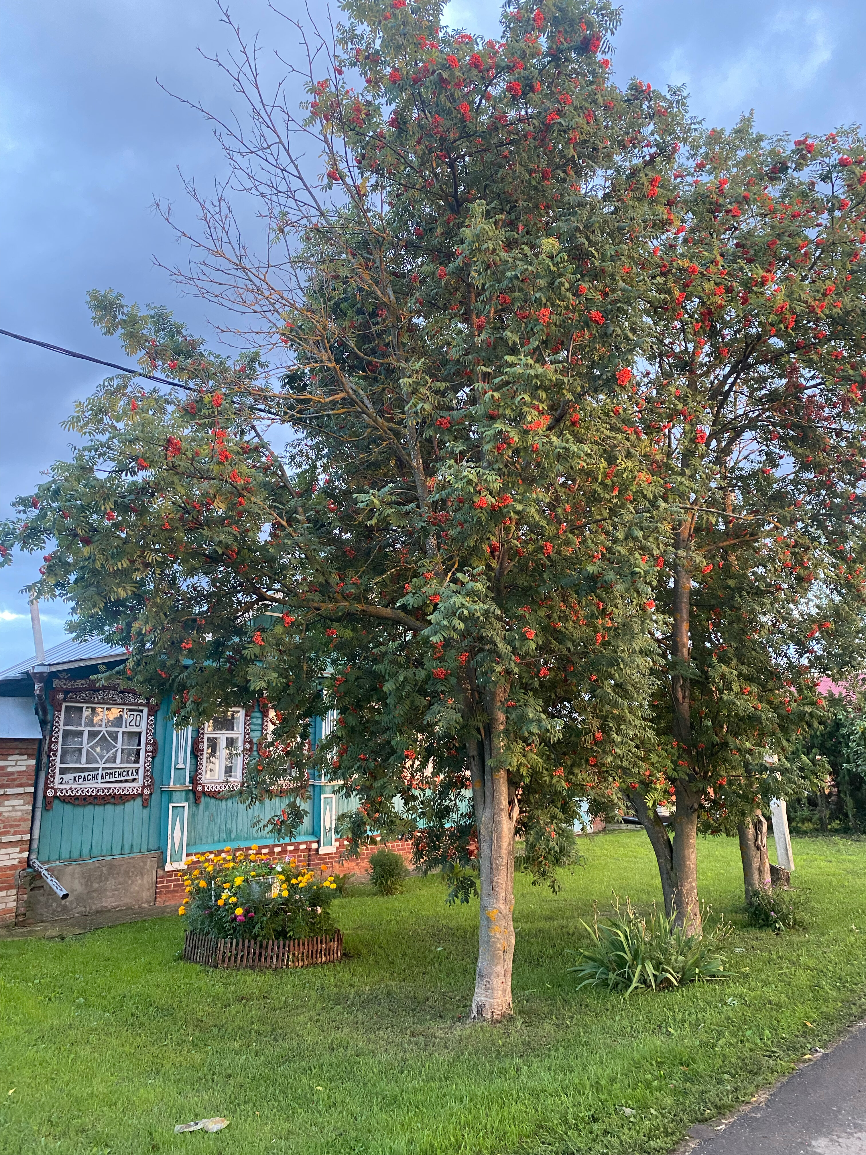 Фото Времена года